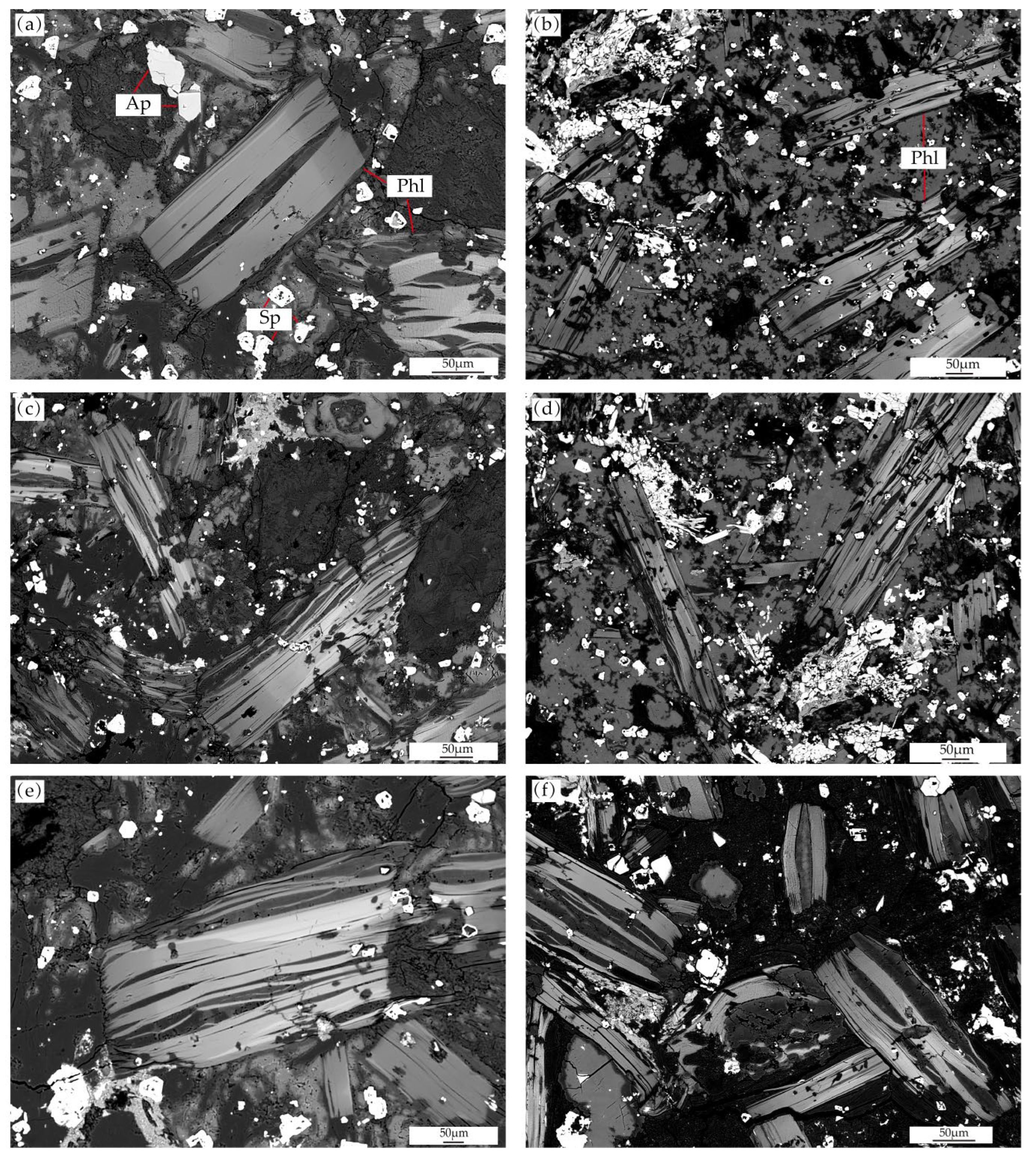 Applsci 14 01340 g005