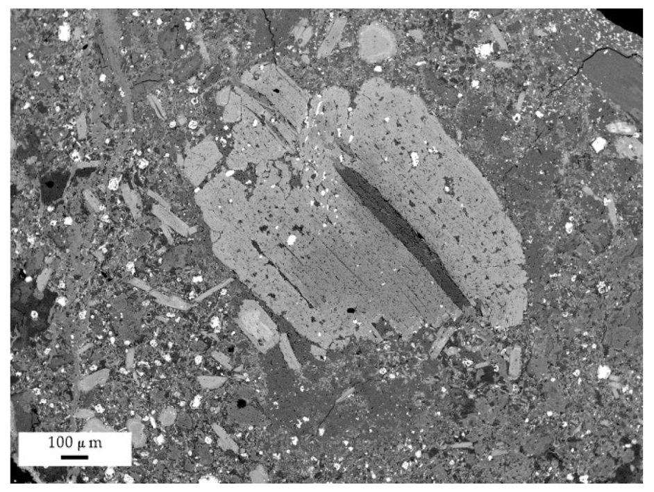 Applsci 14 01340 i003