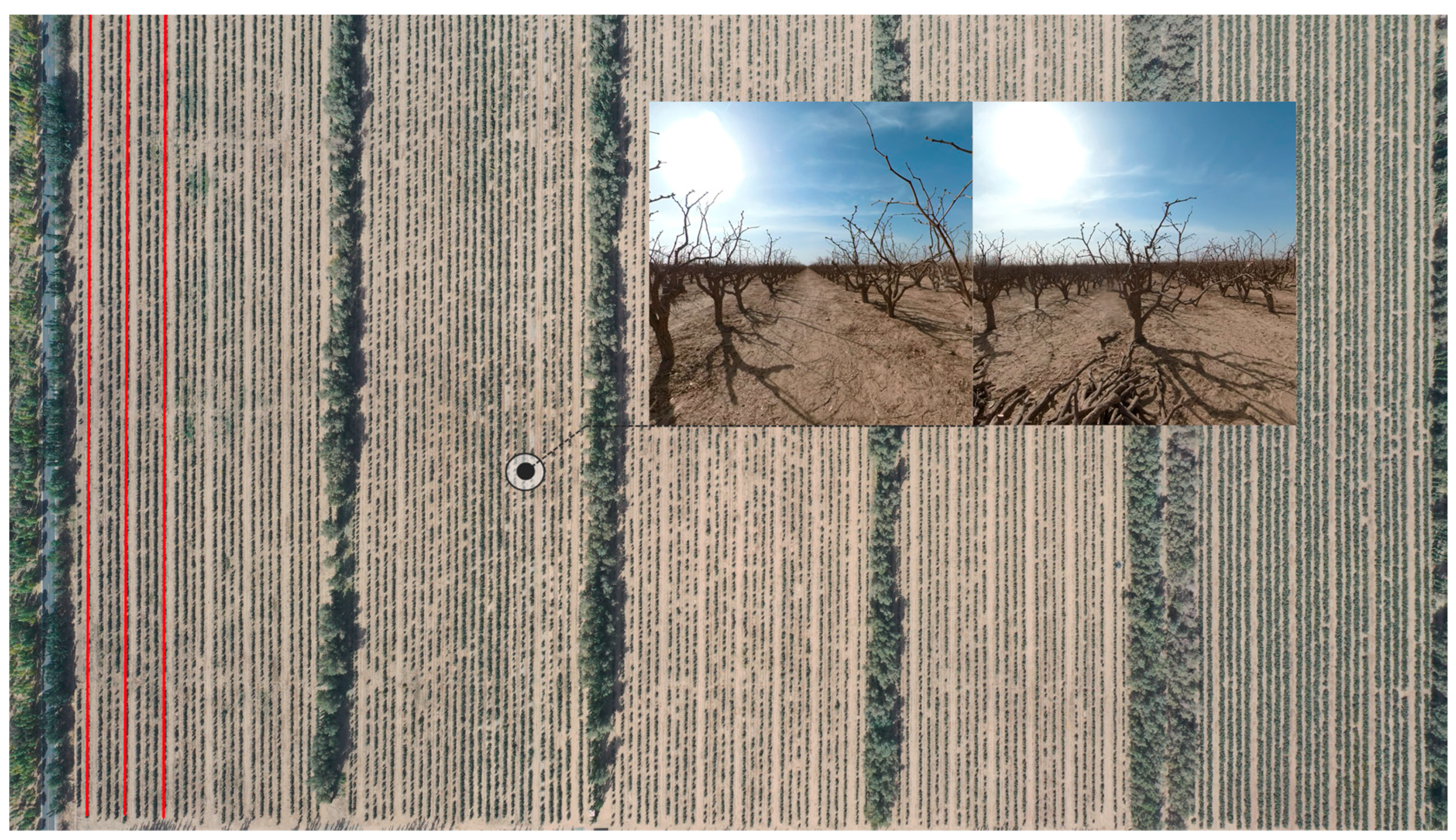 Applsci 14 01364 g006