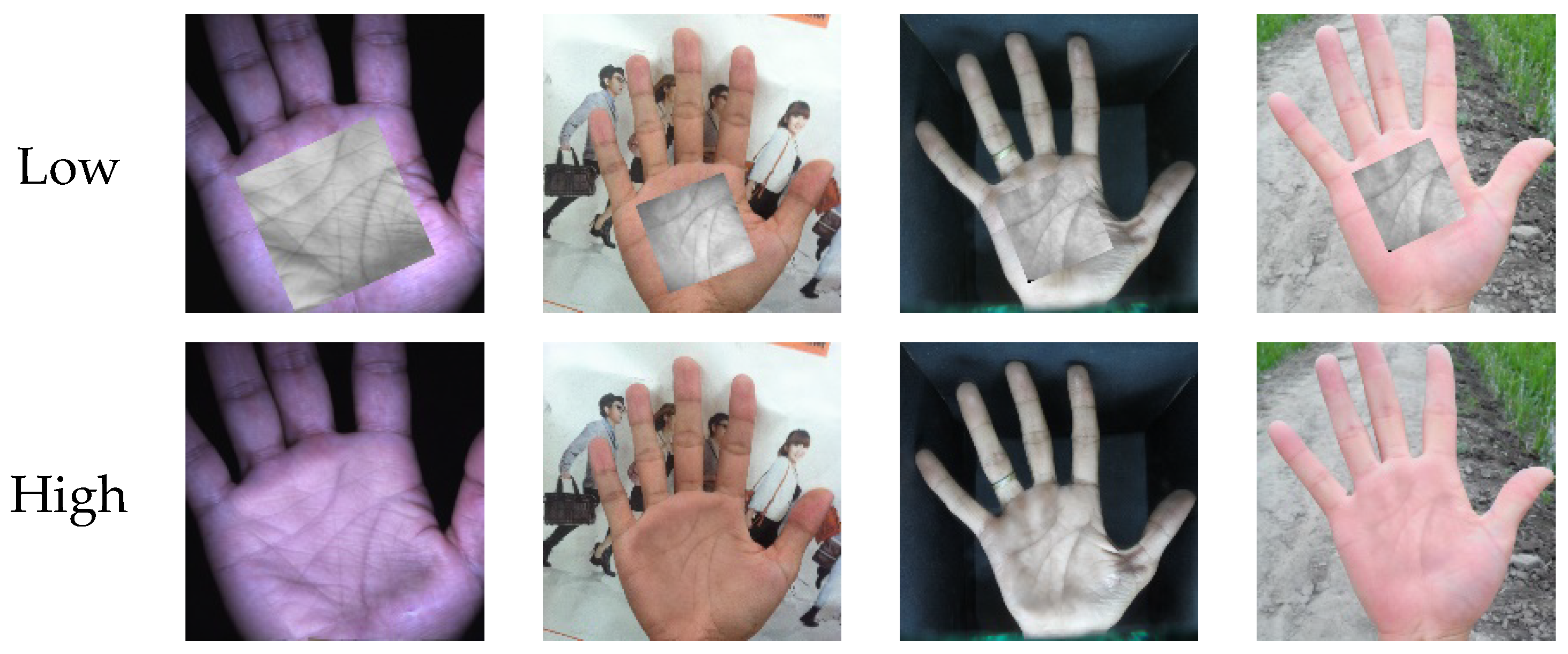 Applsci 14 01369 g002