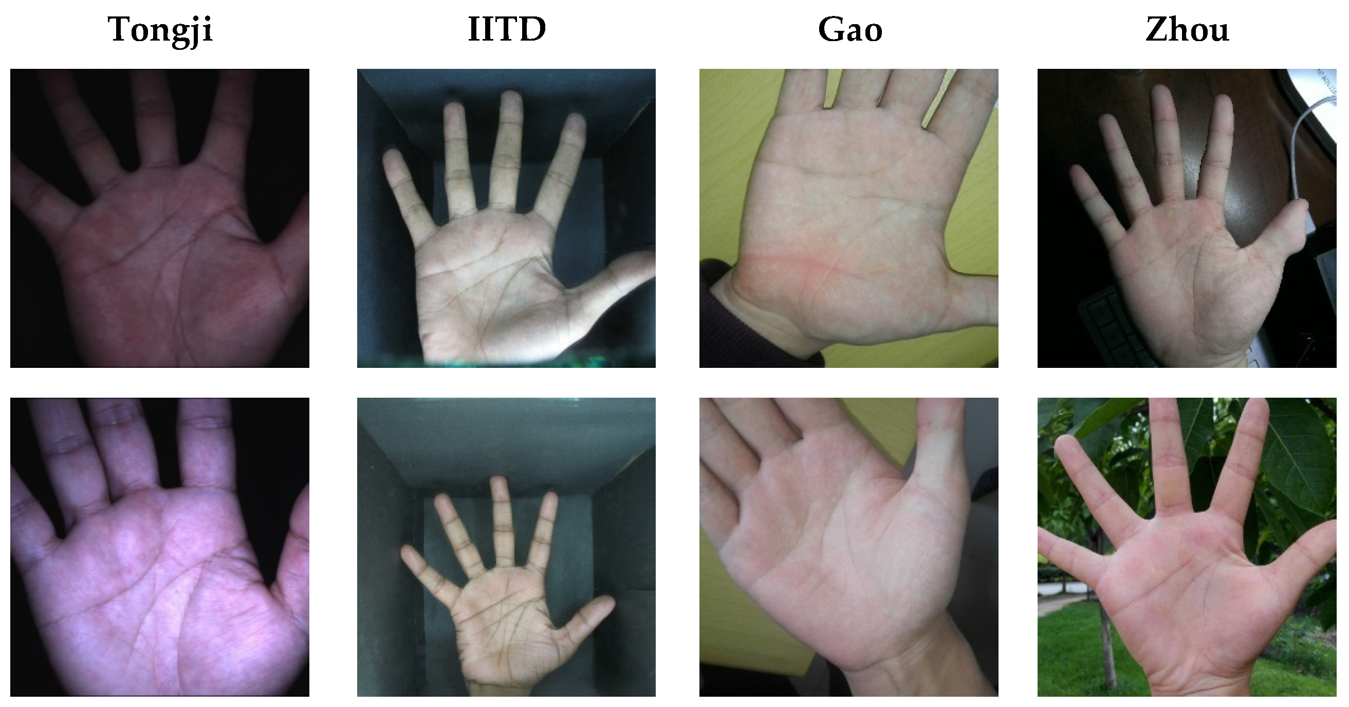 Applsci 14 01369 g008