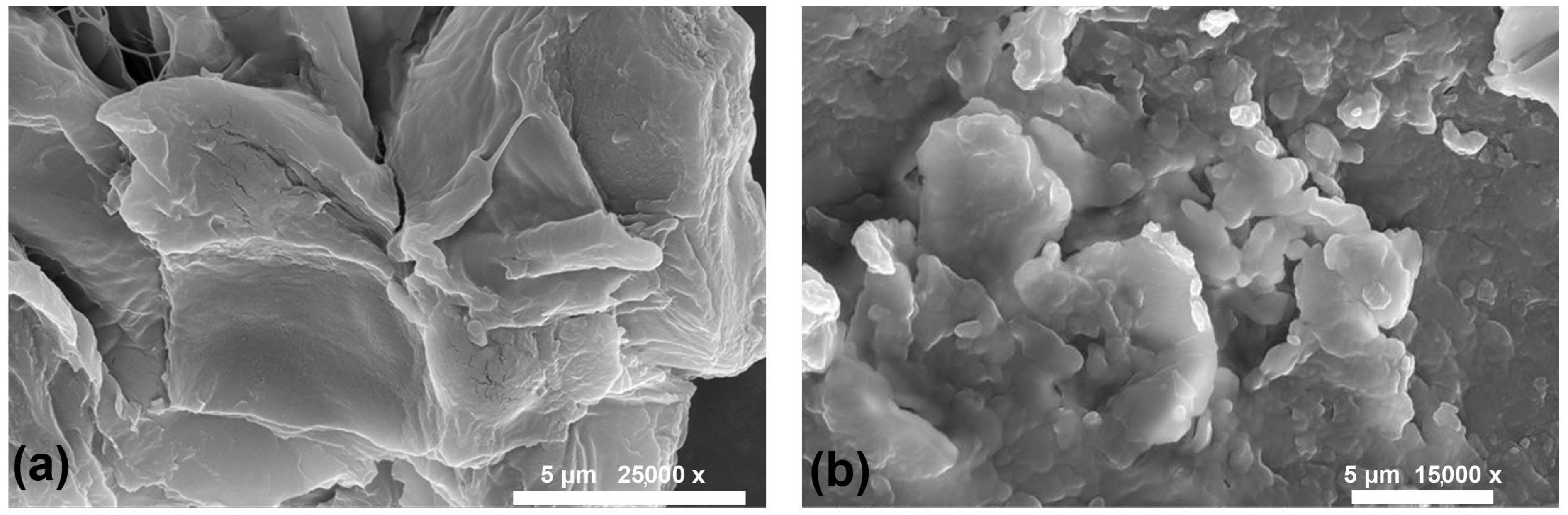 Applsci 14 01419 g001