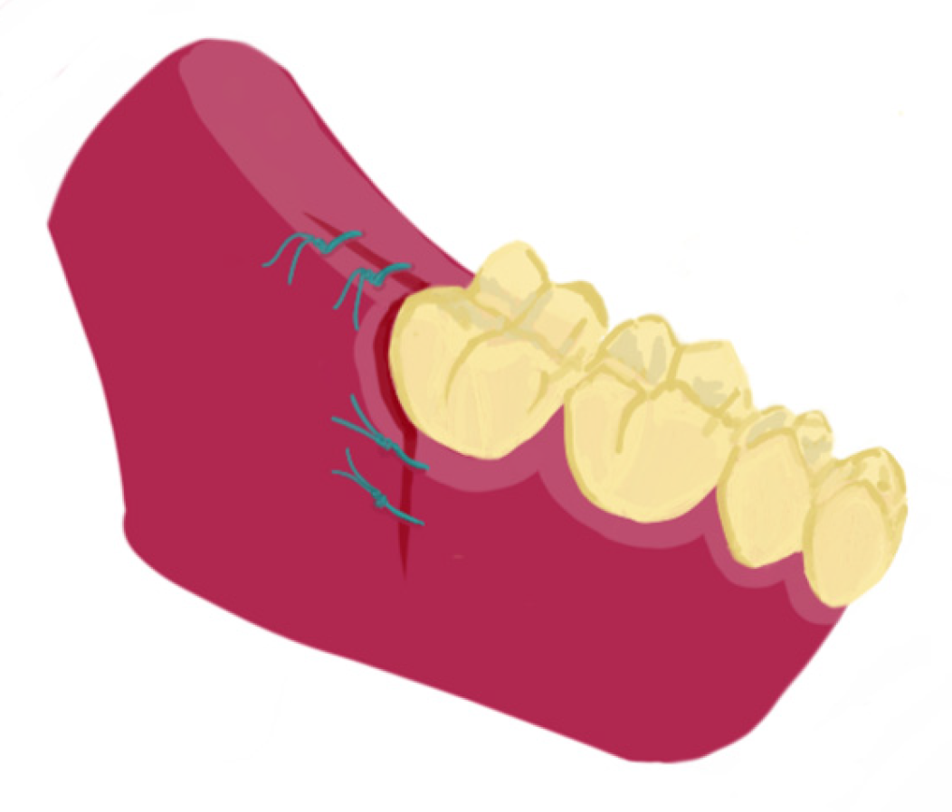 Applsci 14 01448 g001
