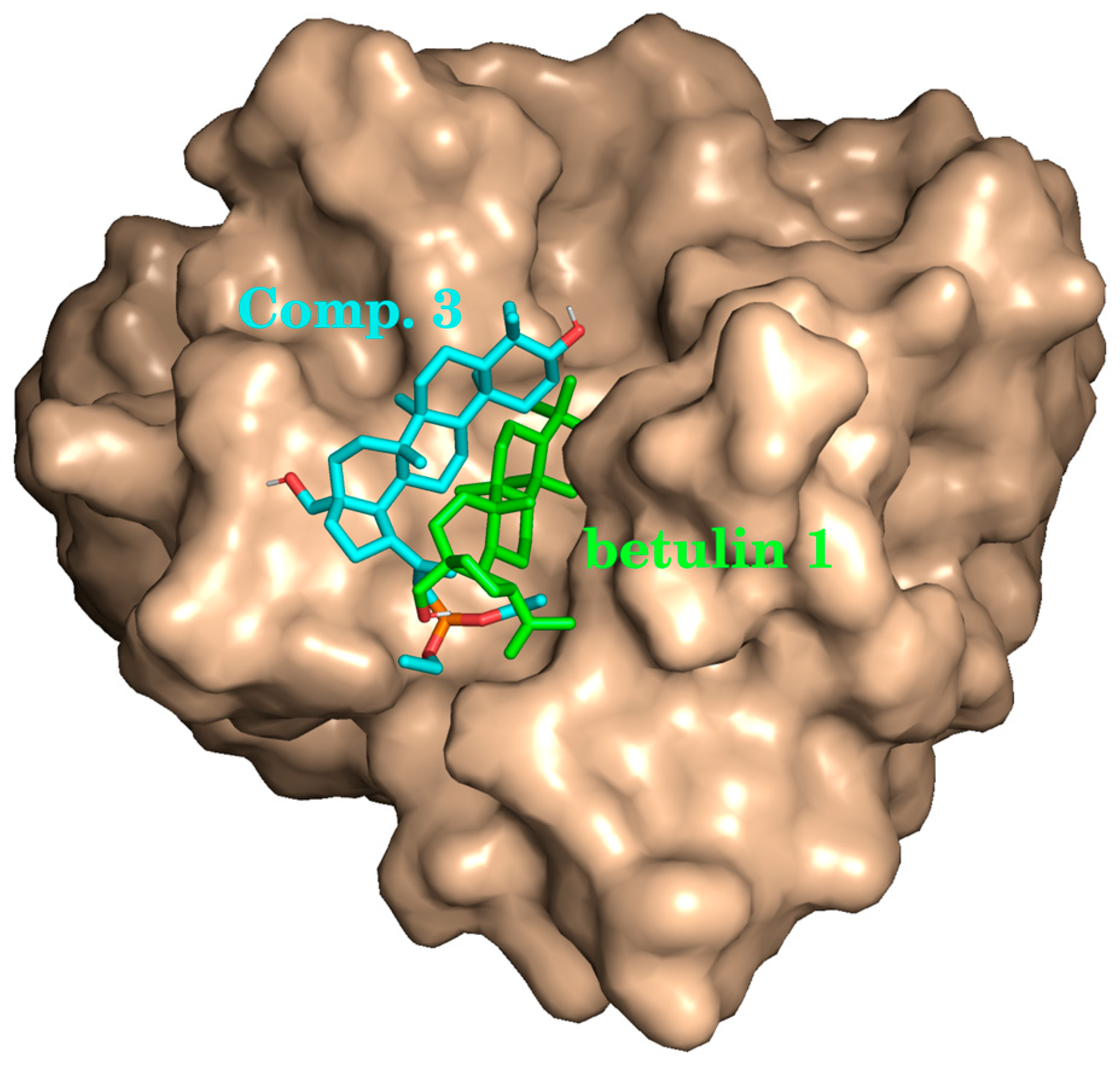 Applsci 14 01452 g007