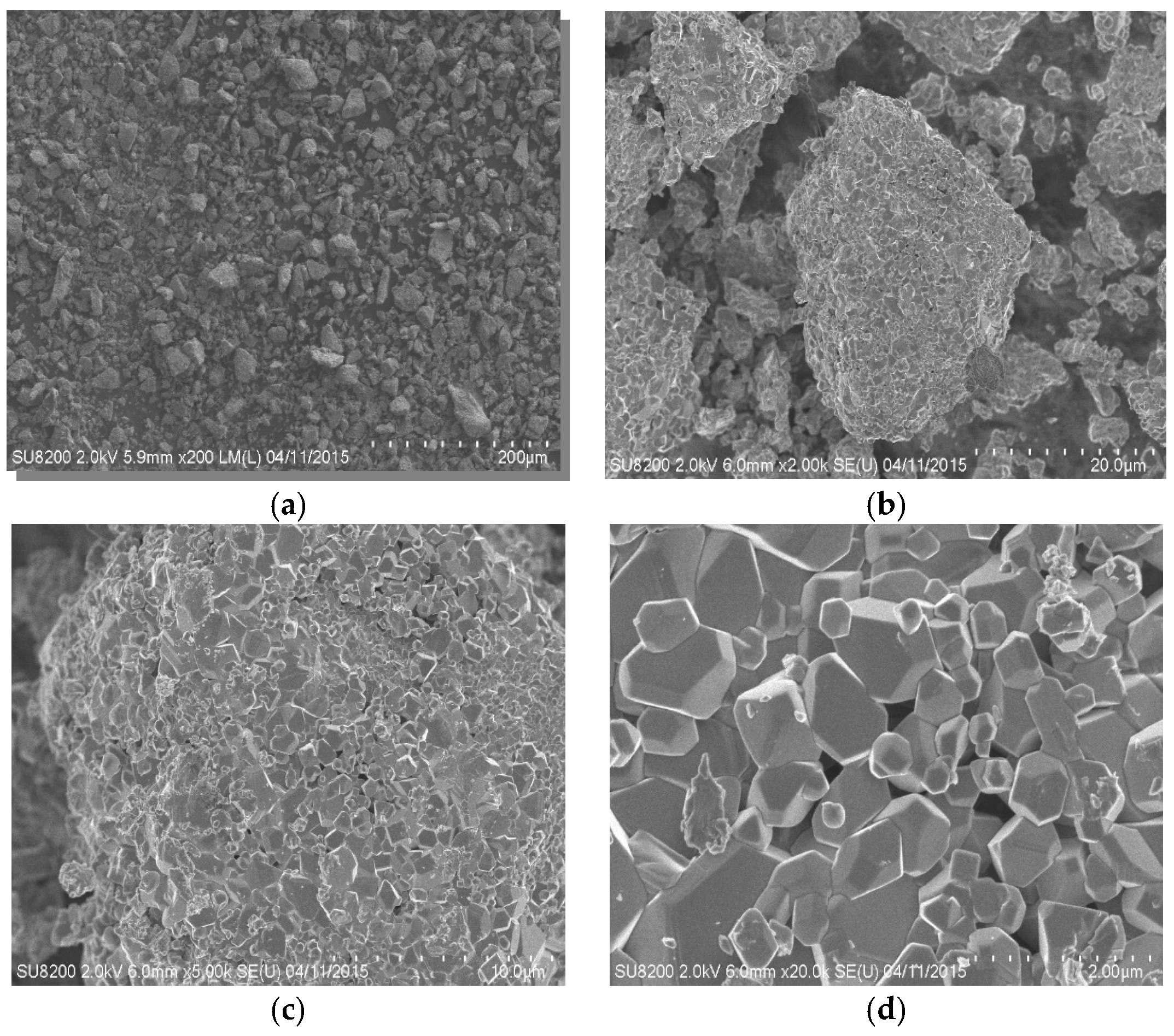 Applsci 14 01463 g002