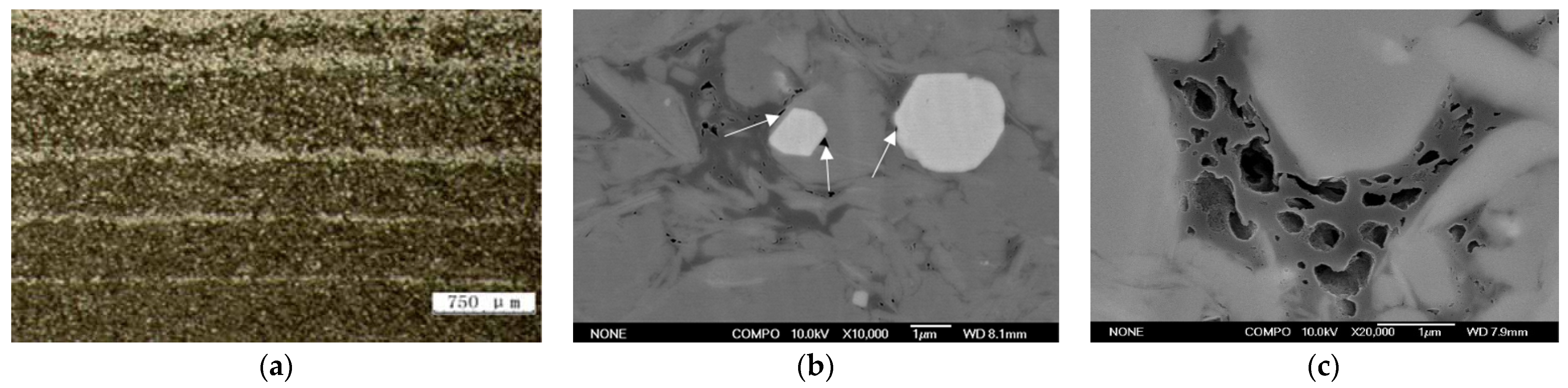 Applsci 14 01469 g002