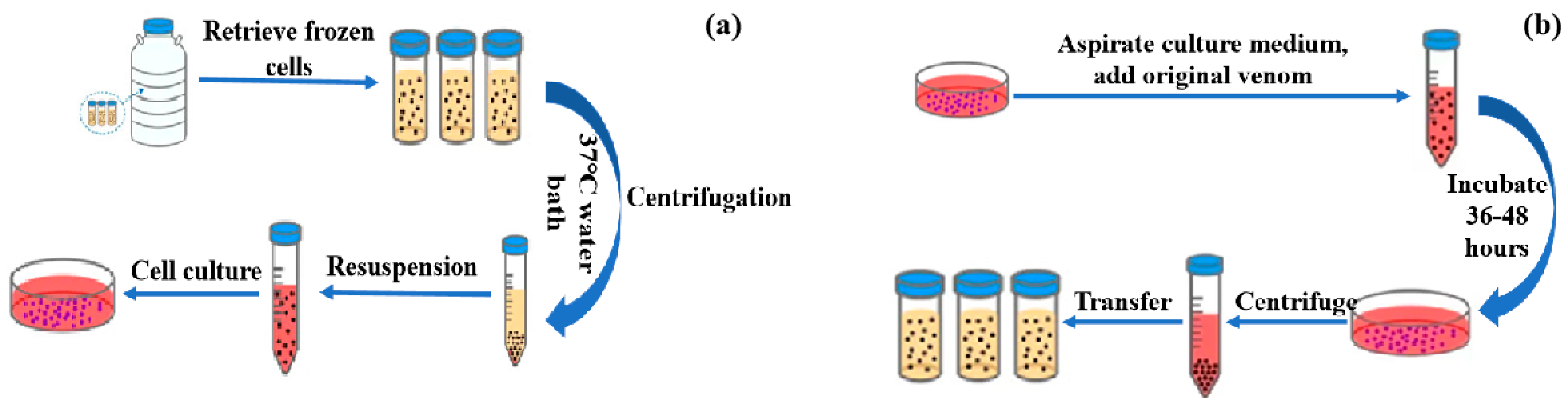 Applsci 14 01480 g001 Applsci 14 01480 g001