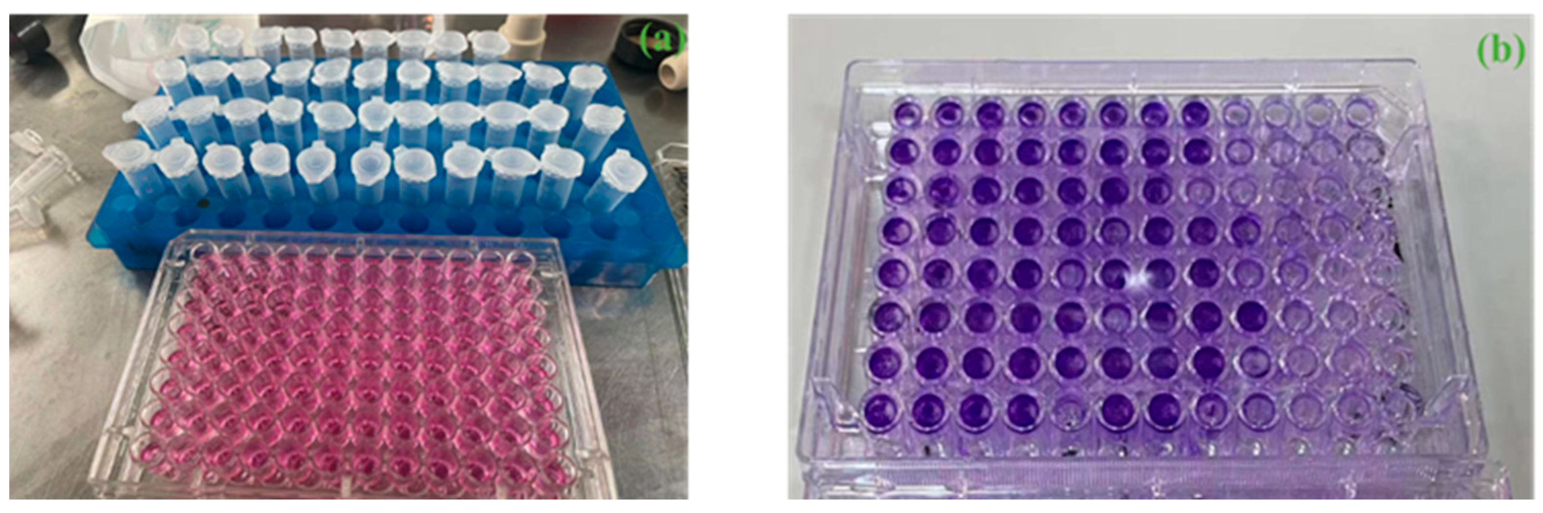 Applsci 14 01480 g002 Applsci 14 01480 g002