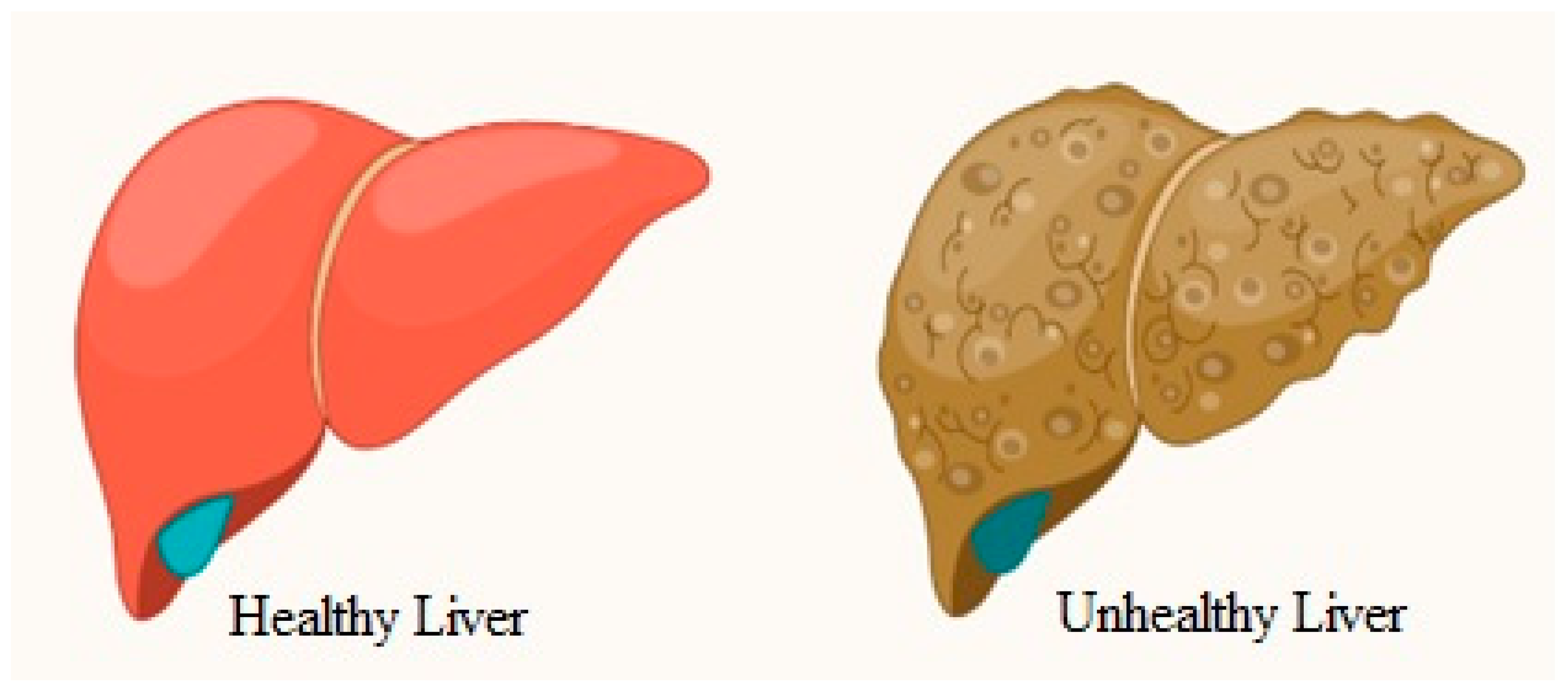 Applsci 14 01488 g001