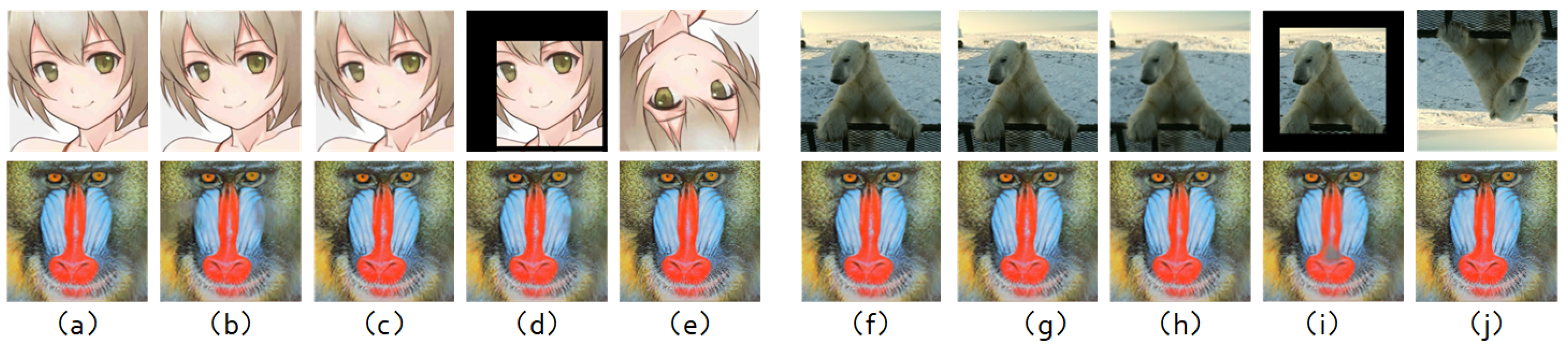 Applsci 14 01494 g006