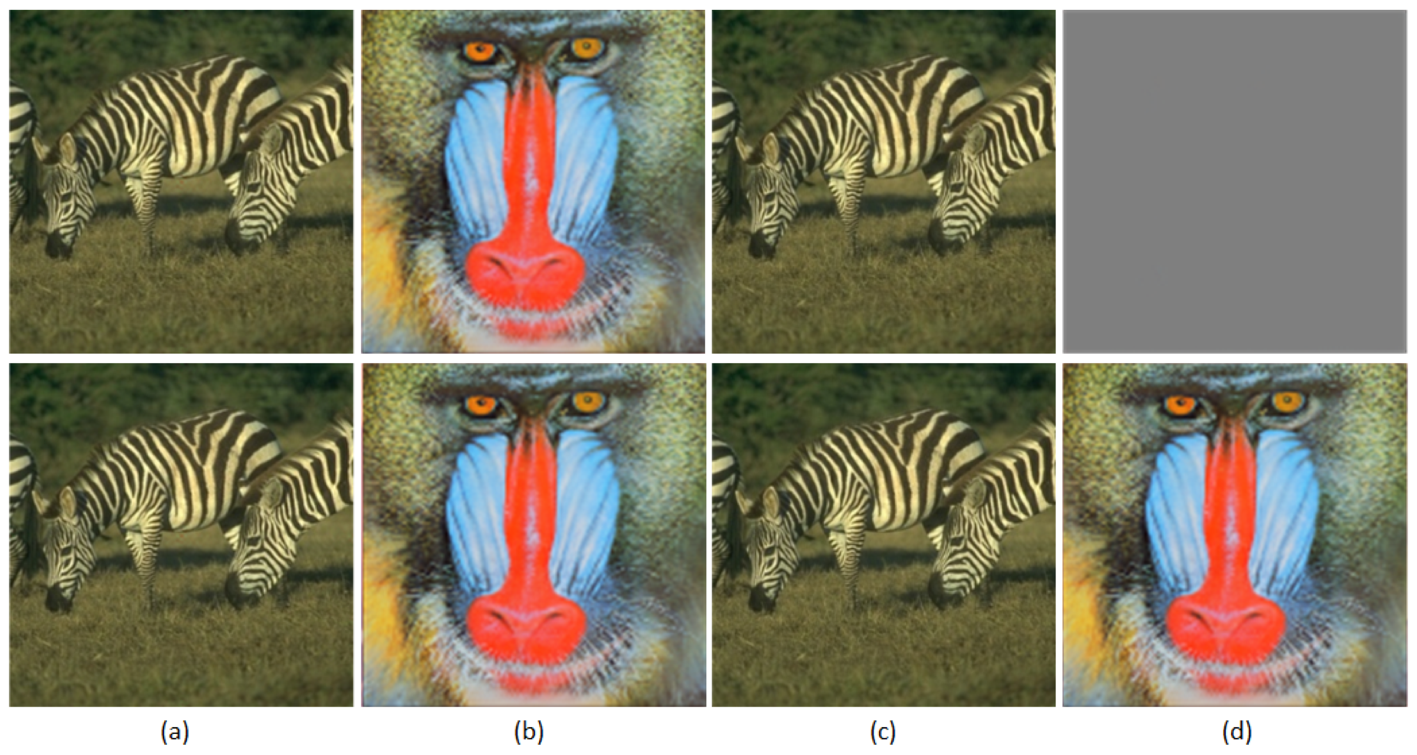 Applsci 14 01494 g007