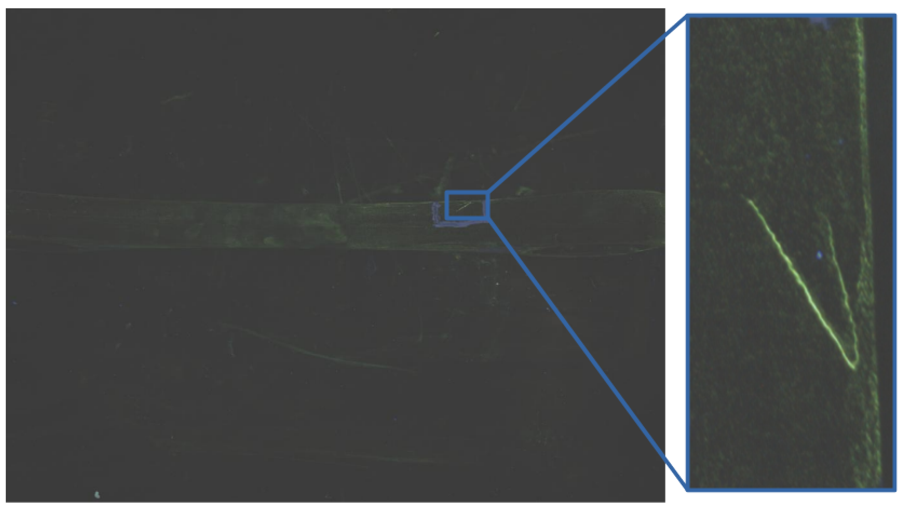 Applsci 14 01499 g013