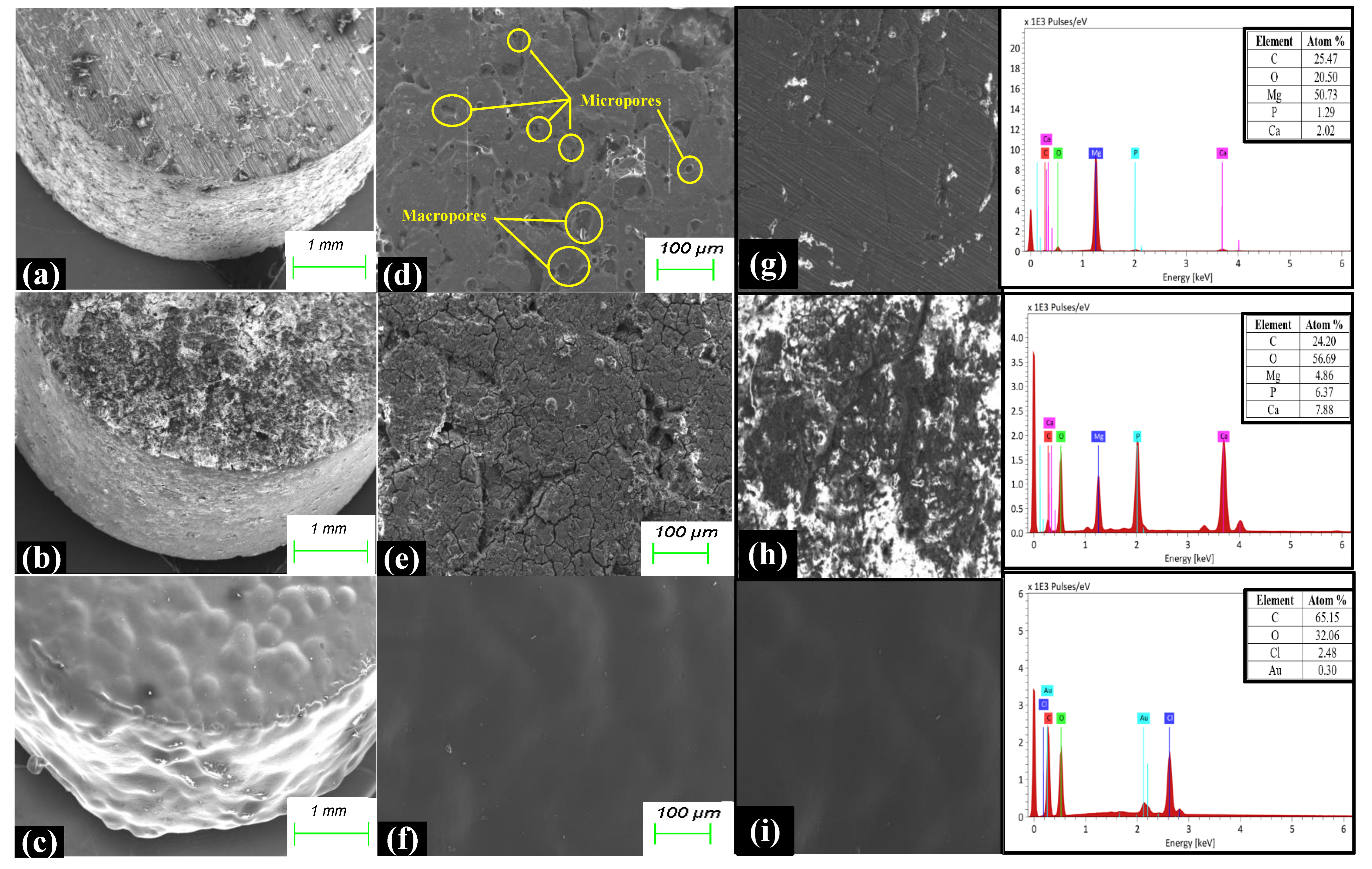 Applsci 14 01512 g002 Applsci 14 01512 g002