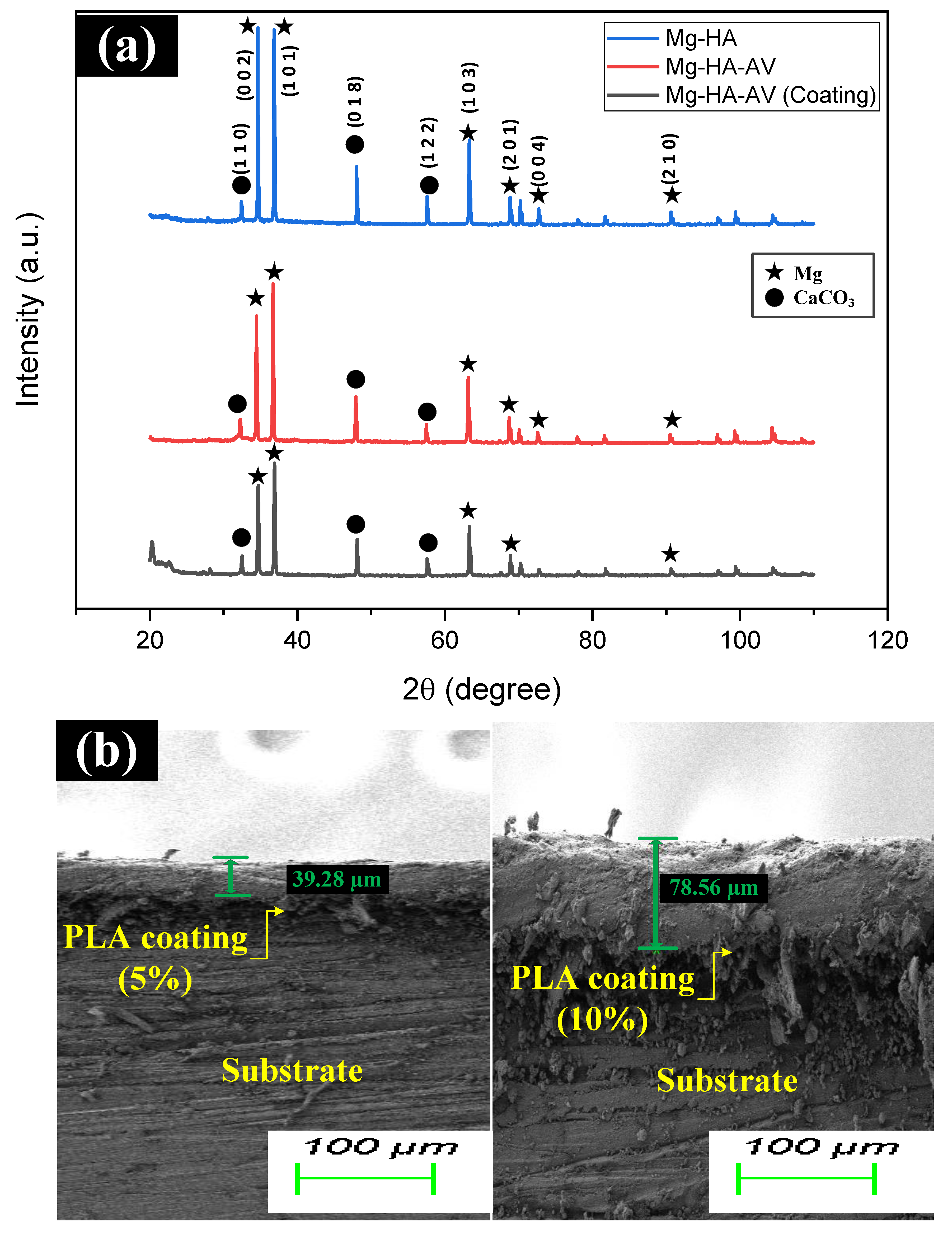 Applsci 14 01512 g003 Applsci 14 01512 g003