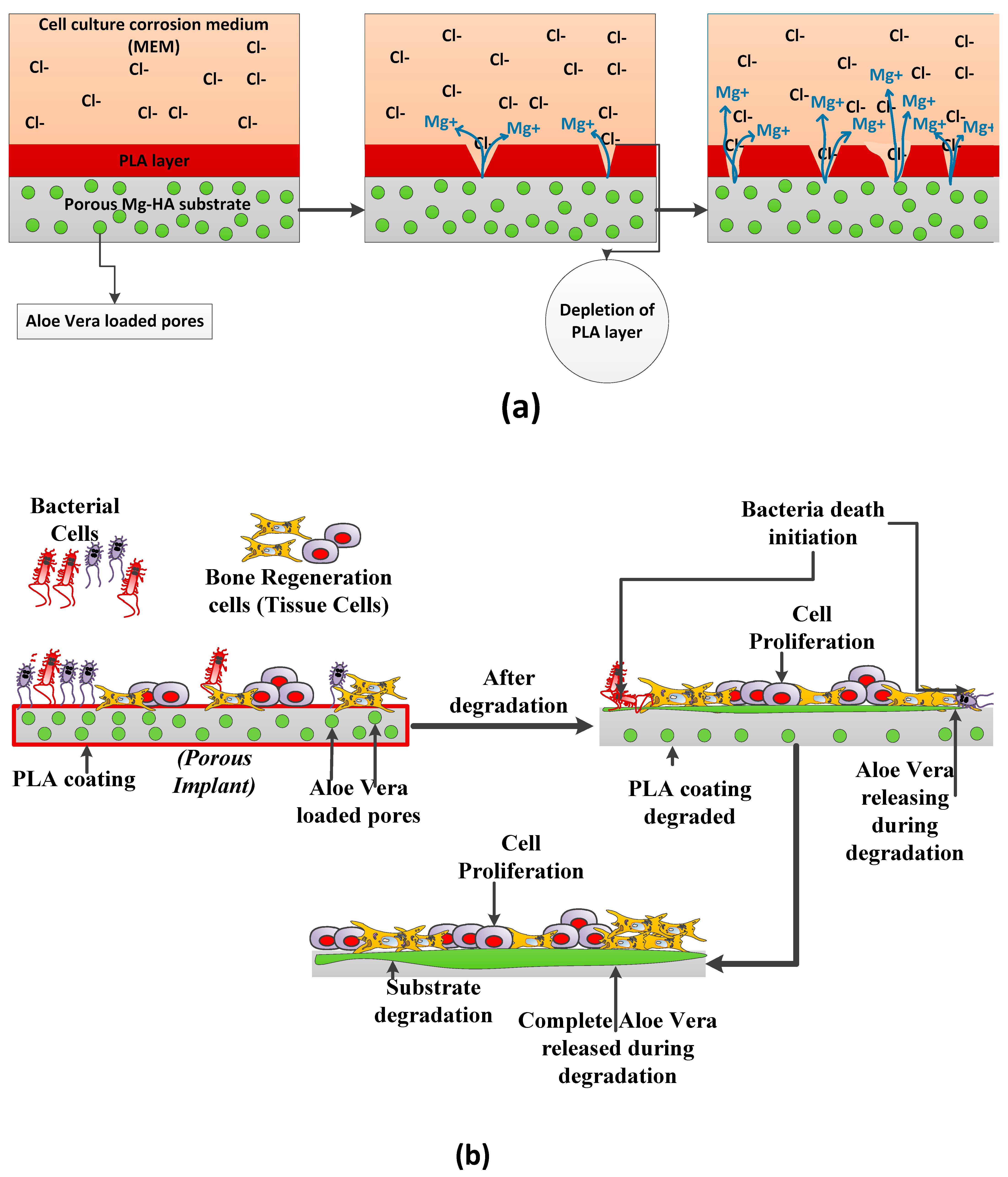 Applsci 14 01512 g011 Applsci 14 01512 g011