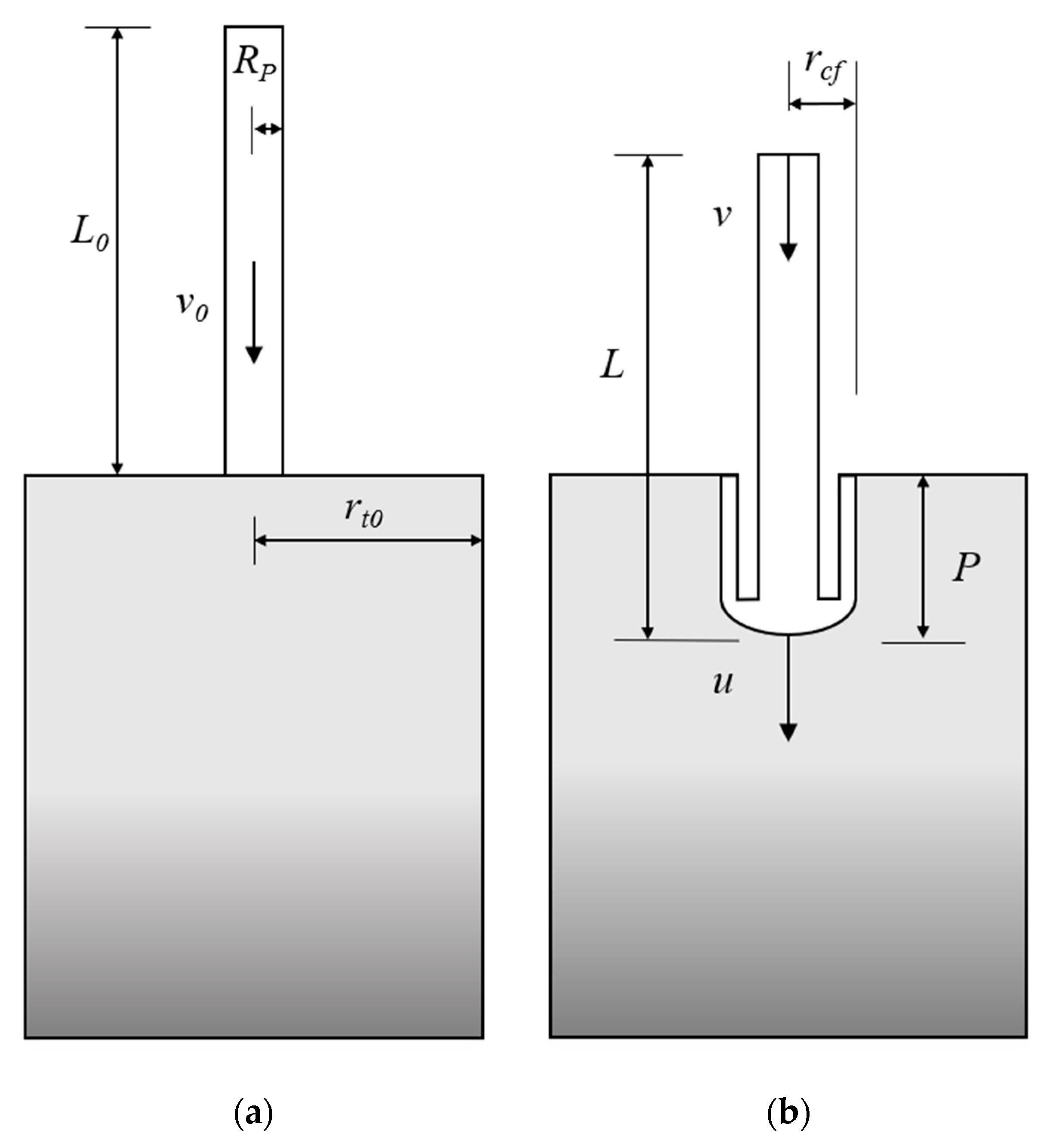 Applsci 14 01523 g002