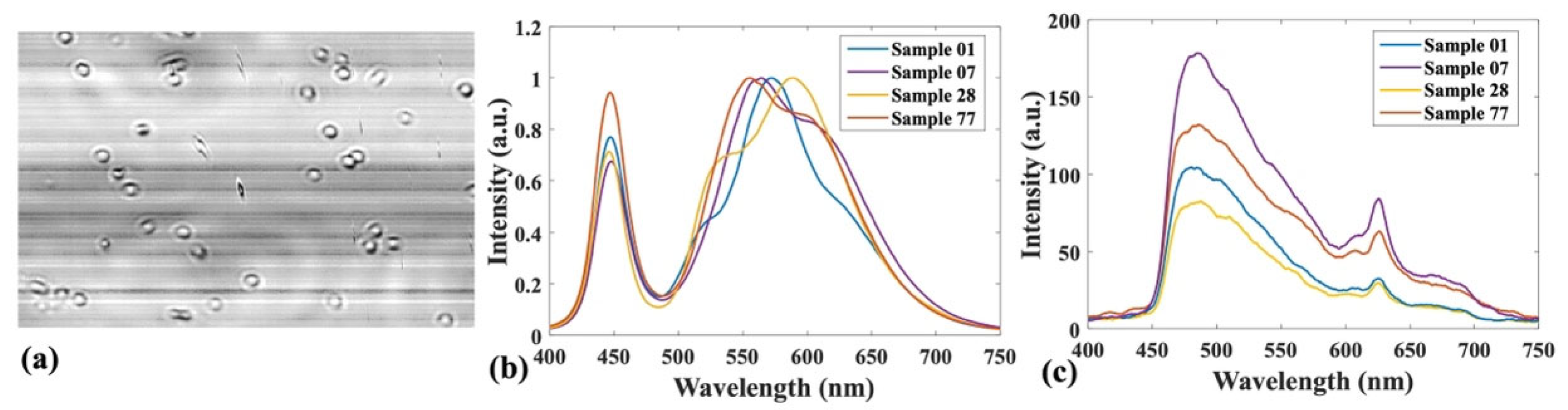 Applsci 14 01525 g004
