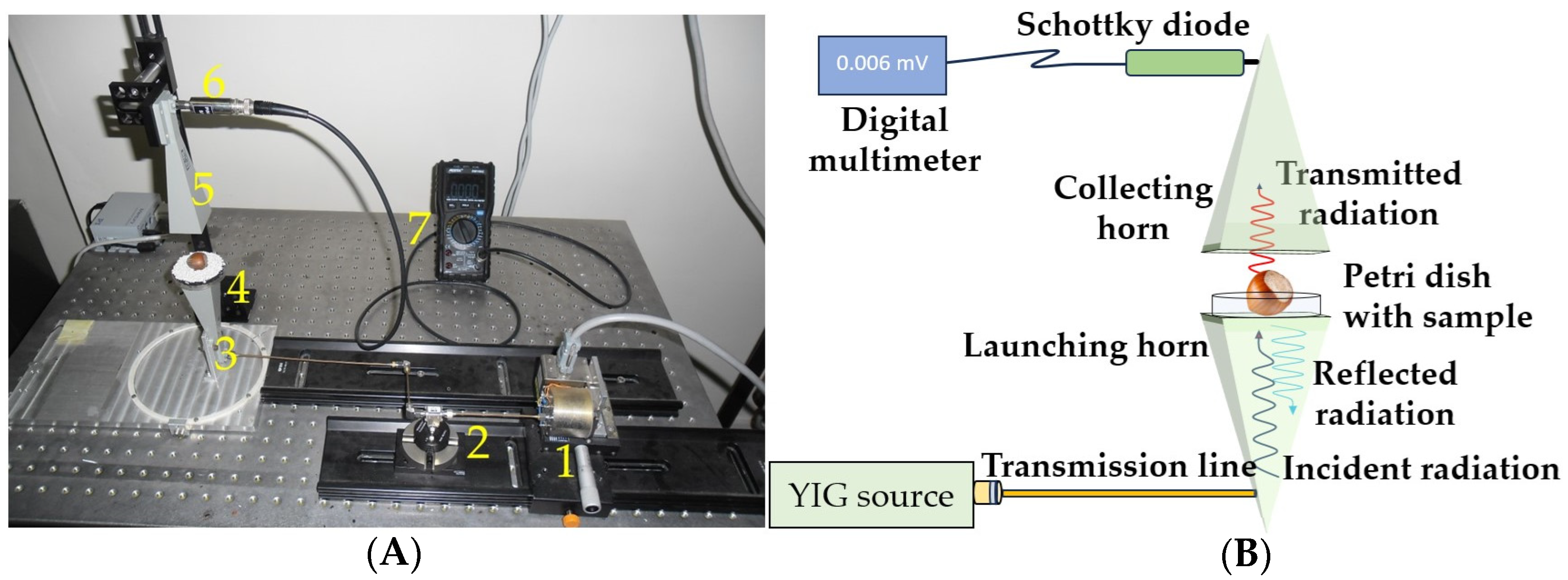 Applsci 14 01555 g001