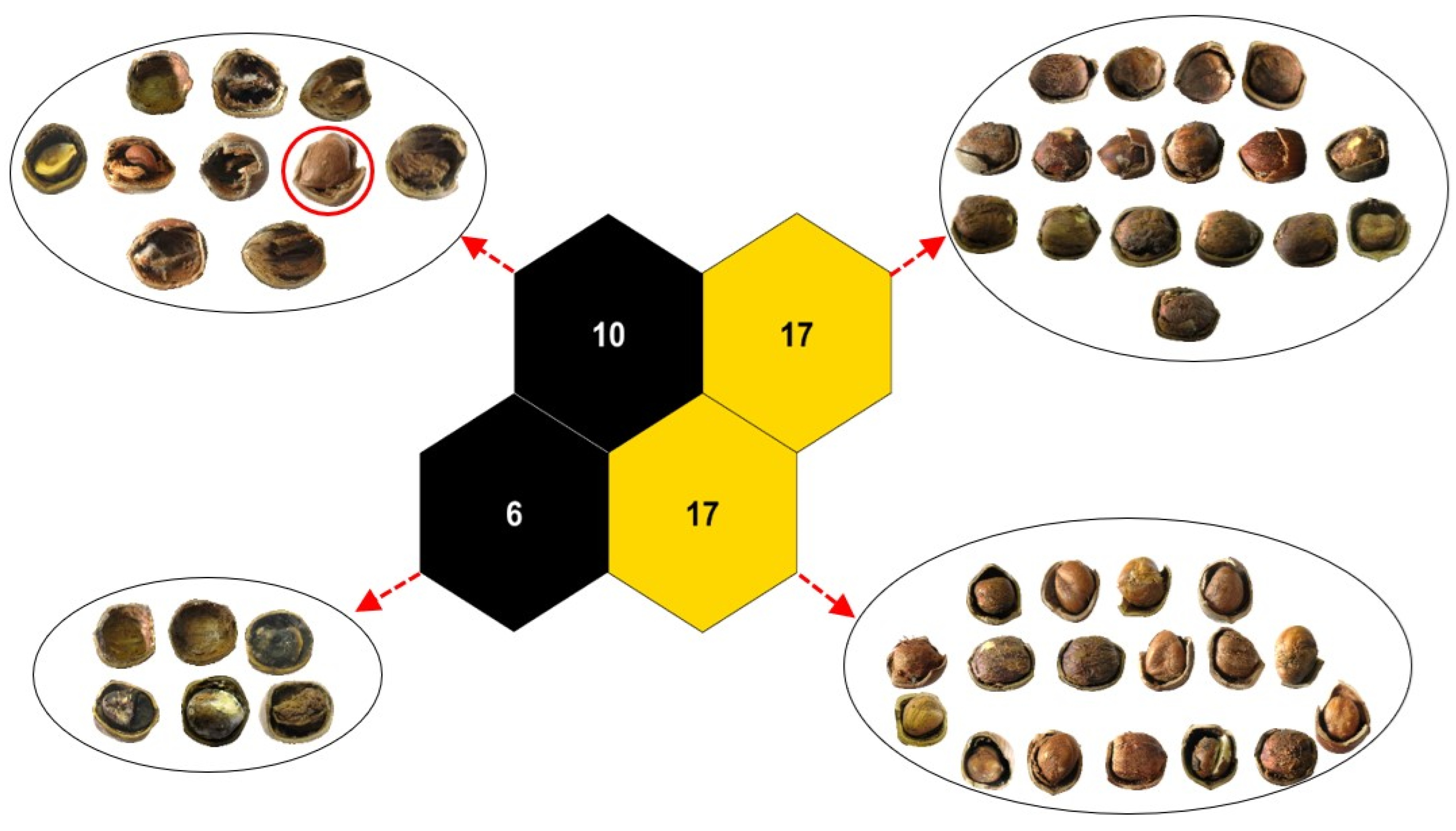 Applsci 14 01555 g008