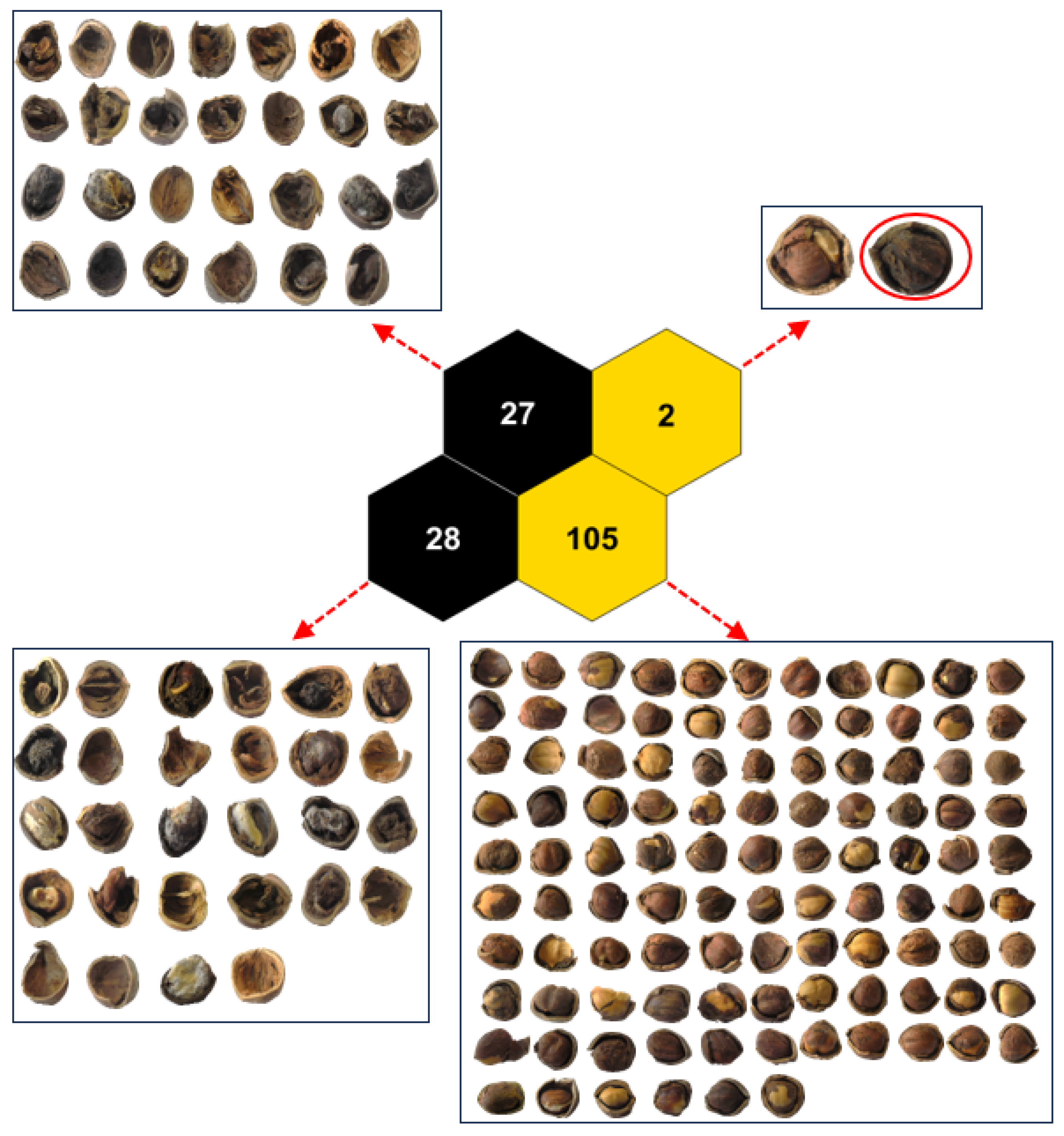 Applsci 14 01555 g009