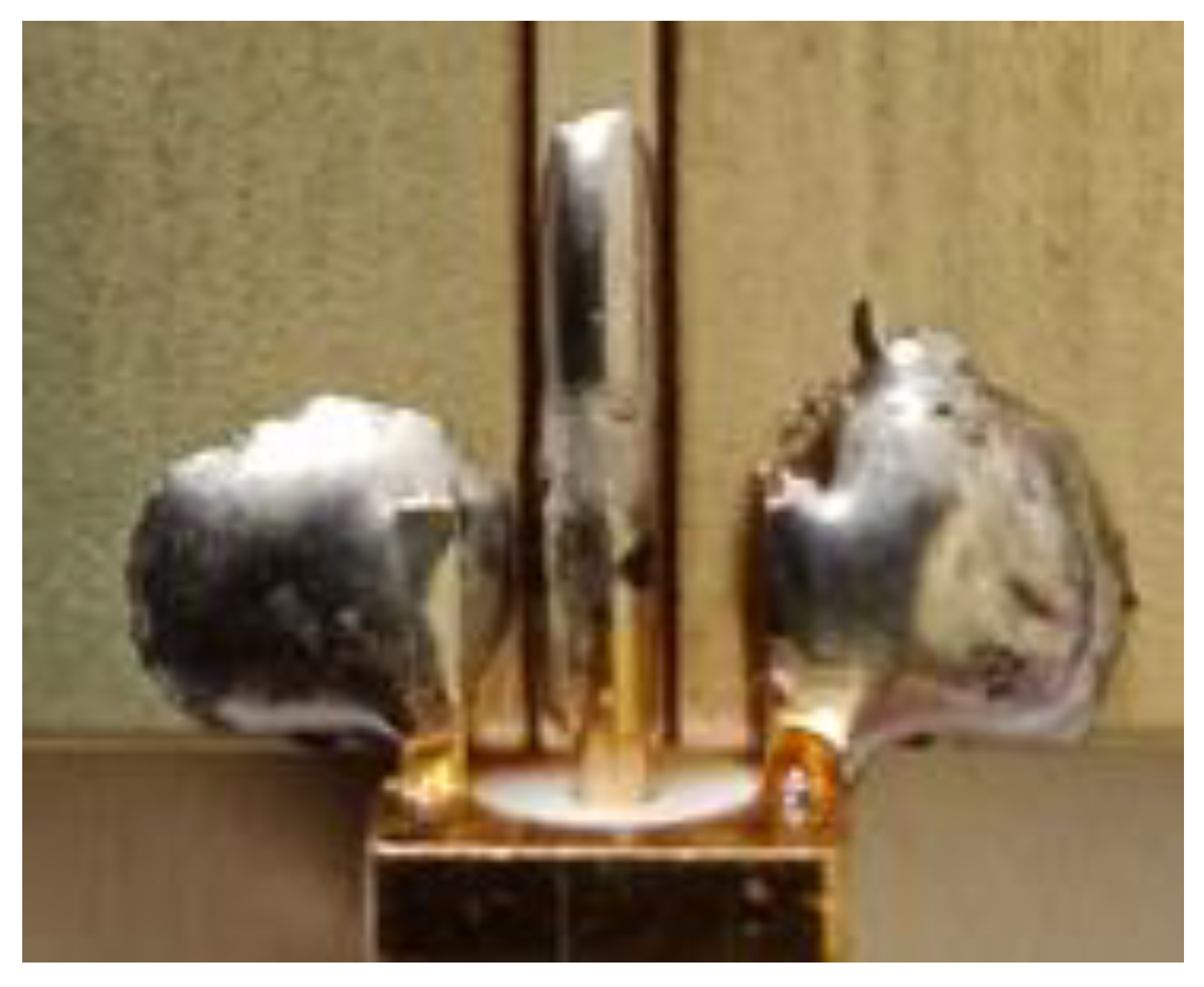 Applsci 14 01556 g002