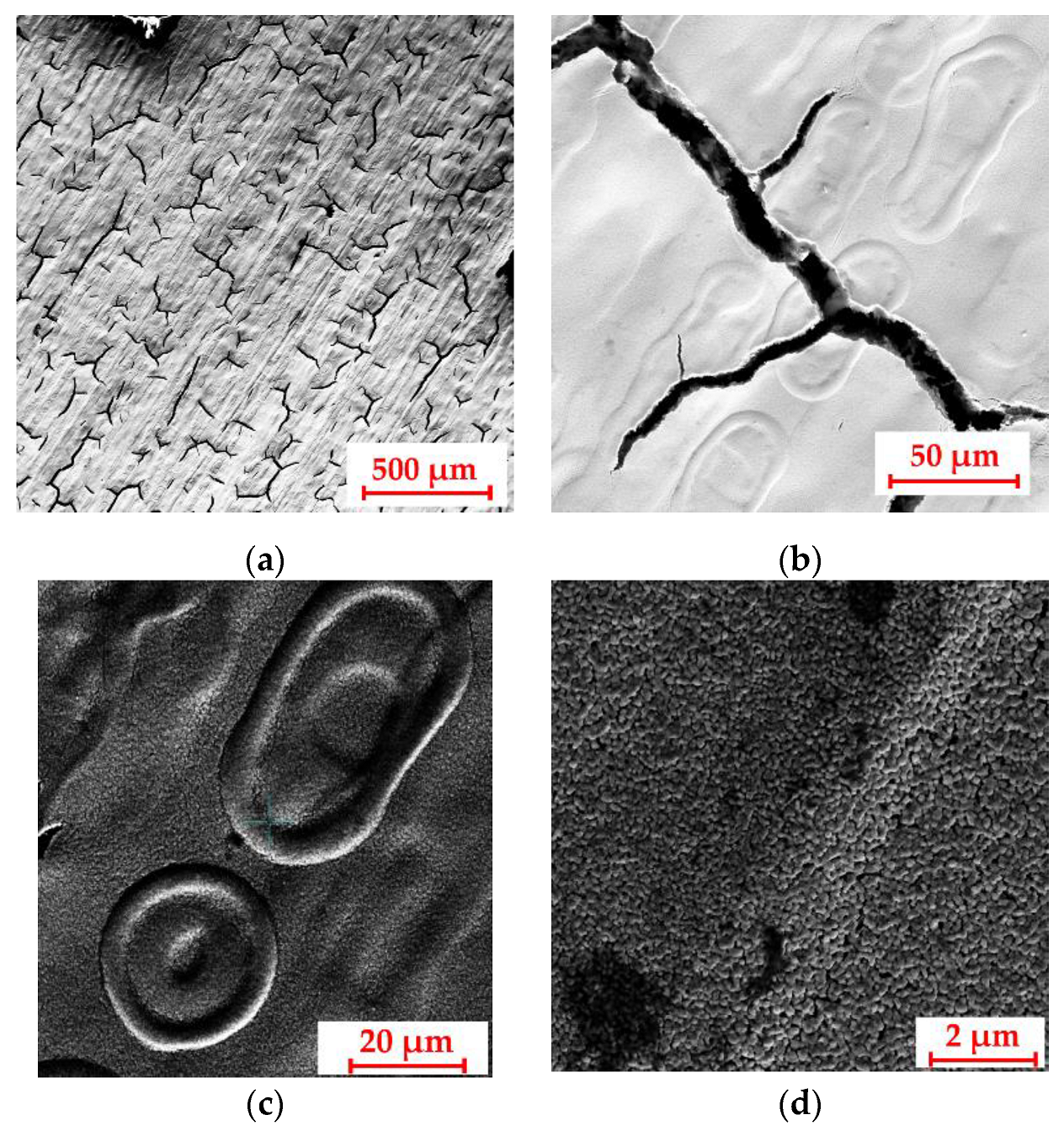 Applsci 14 01556 g010