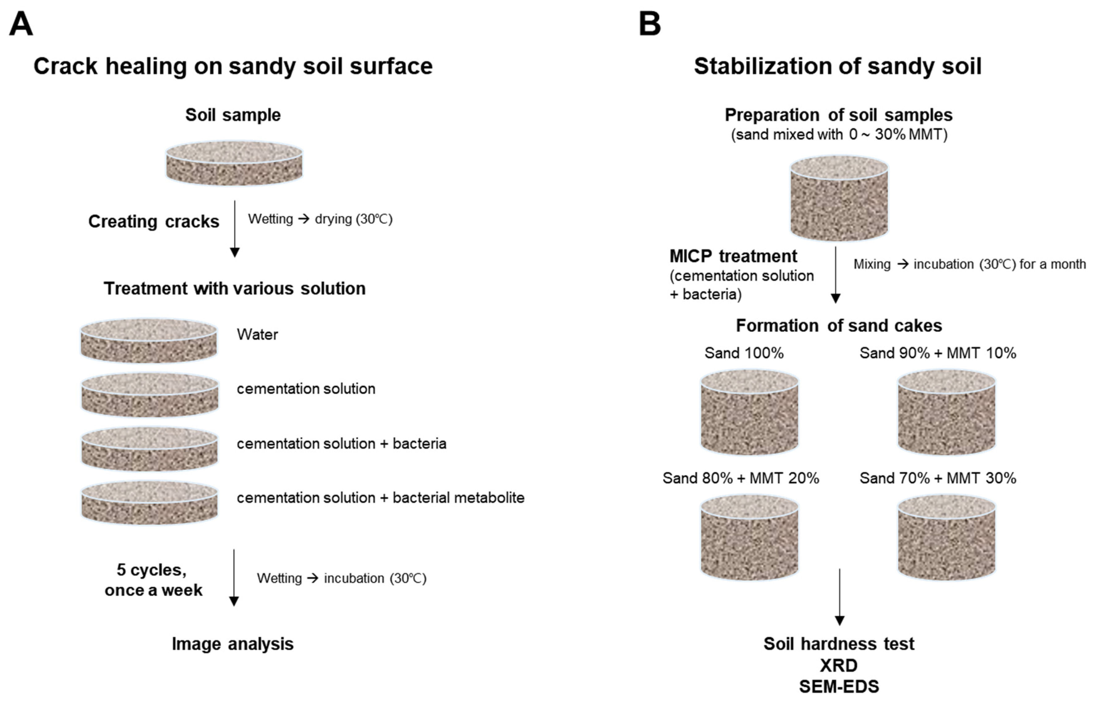 Applsci 14 01568 g001 Applsci 14 01568 g001