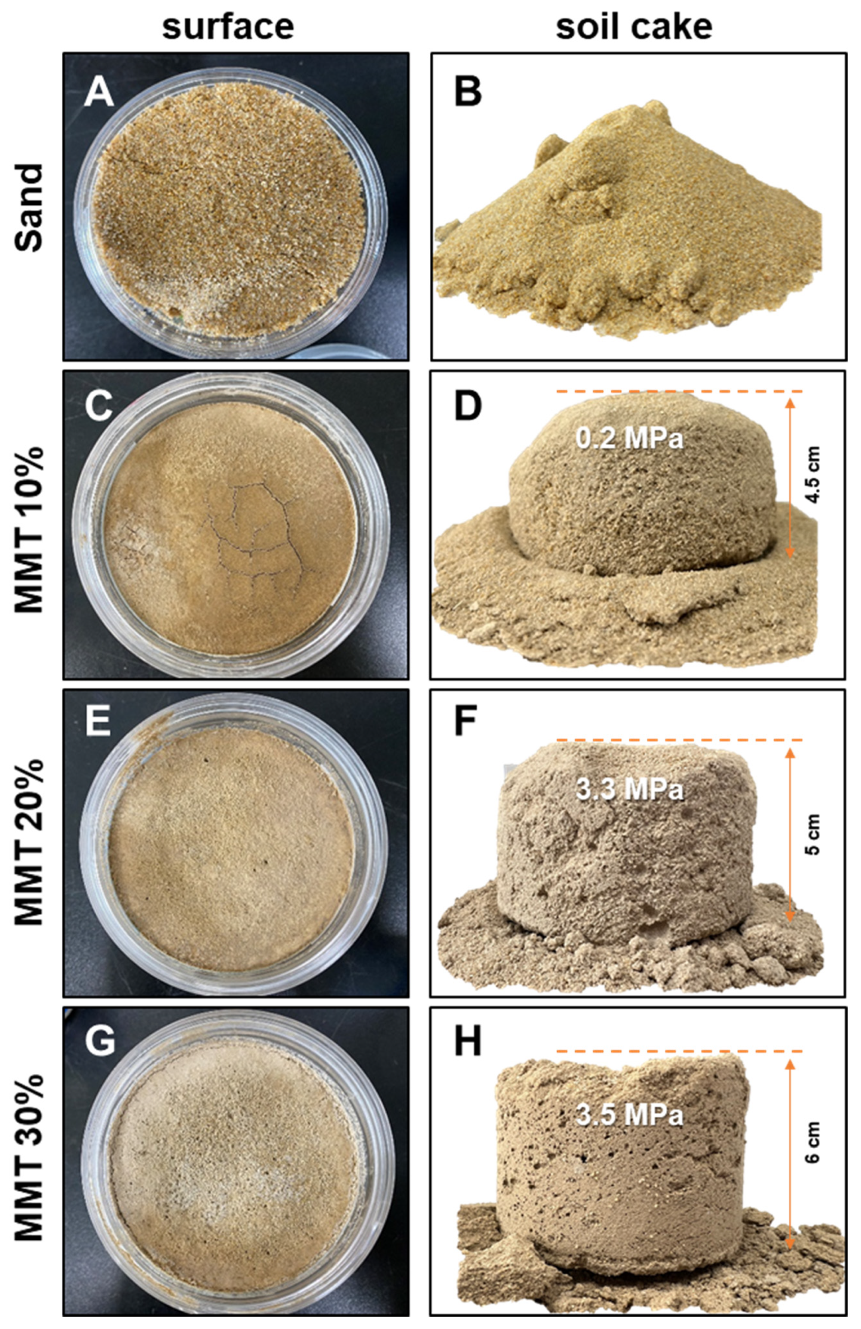 Applsci 14 01568 g004 Applsci 14 01568 g004