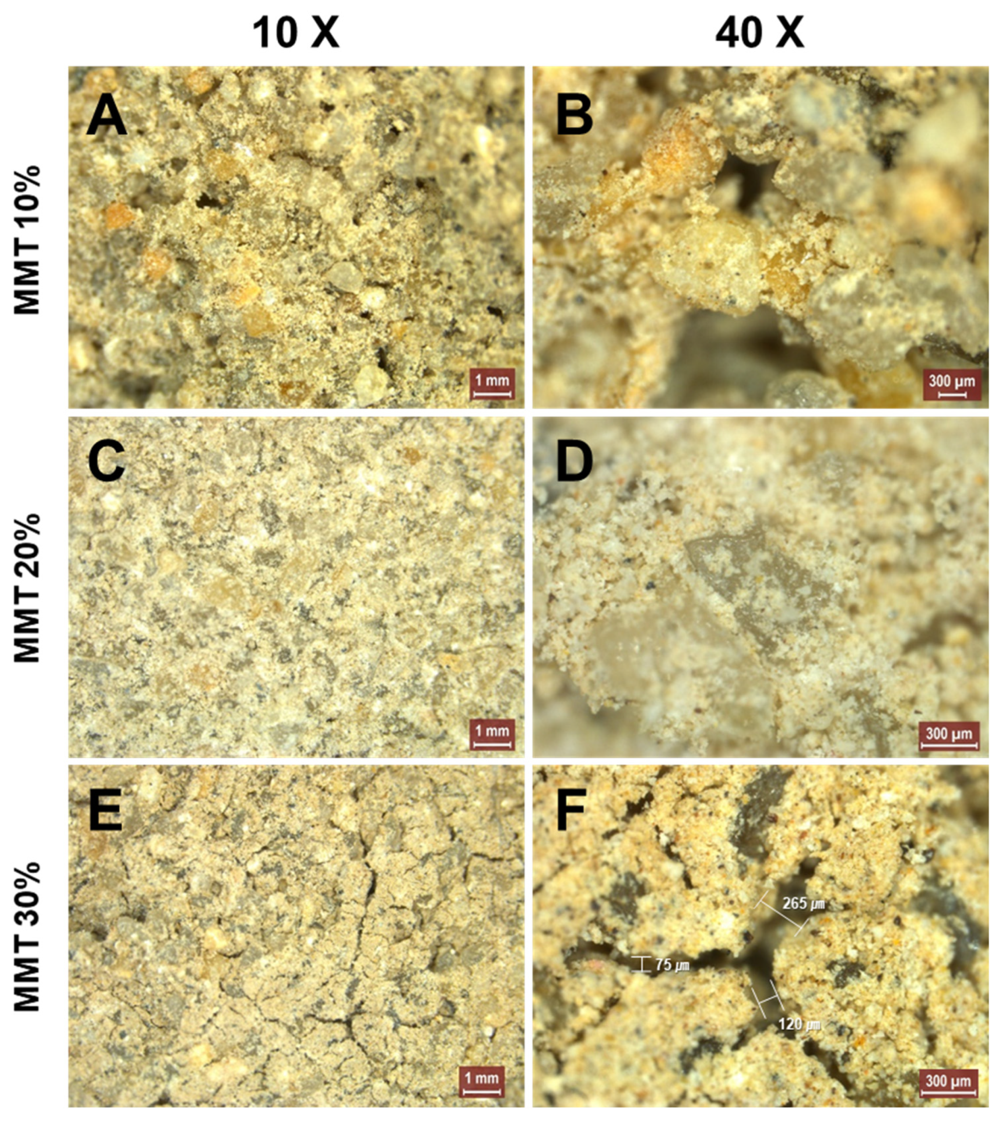 Applsci 14 01568 g006 Applsci 14 01568 g006