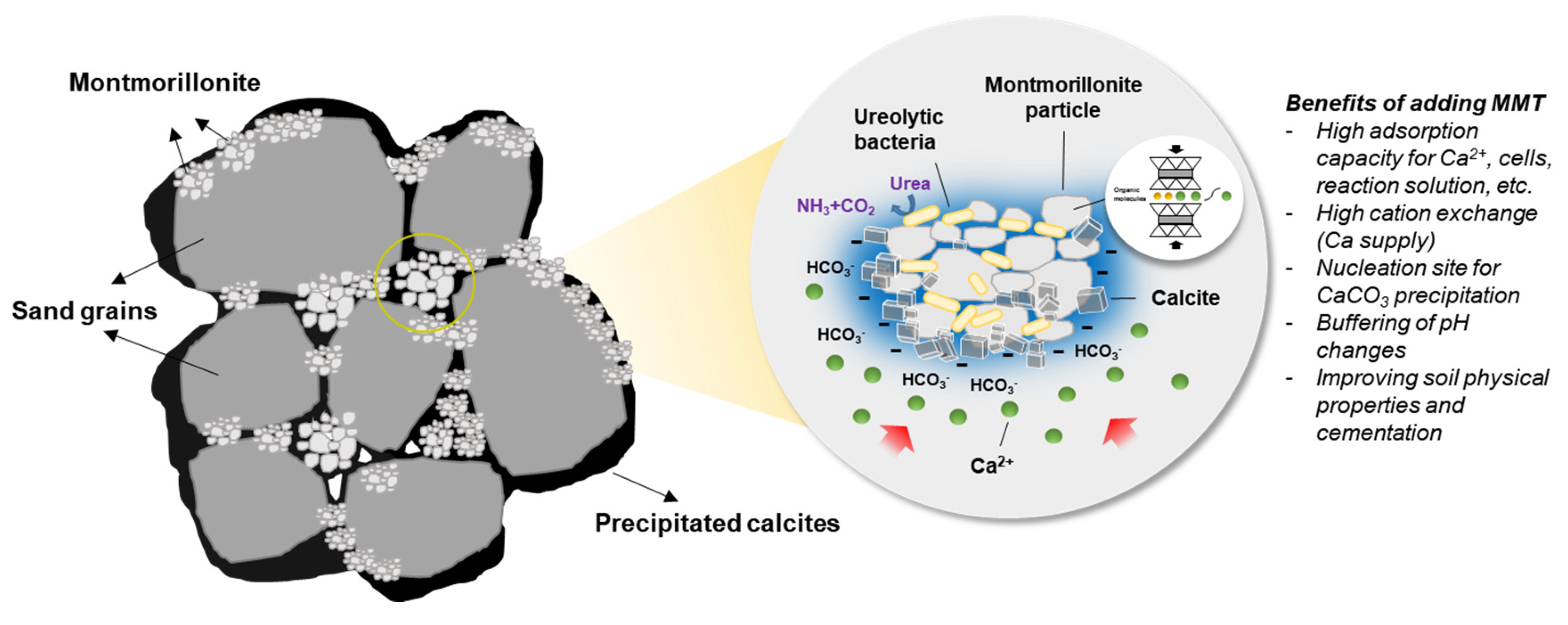 Applsci 14 01568 g009 Applsci 14 01568 g009