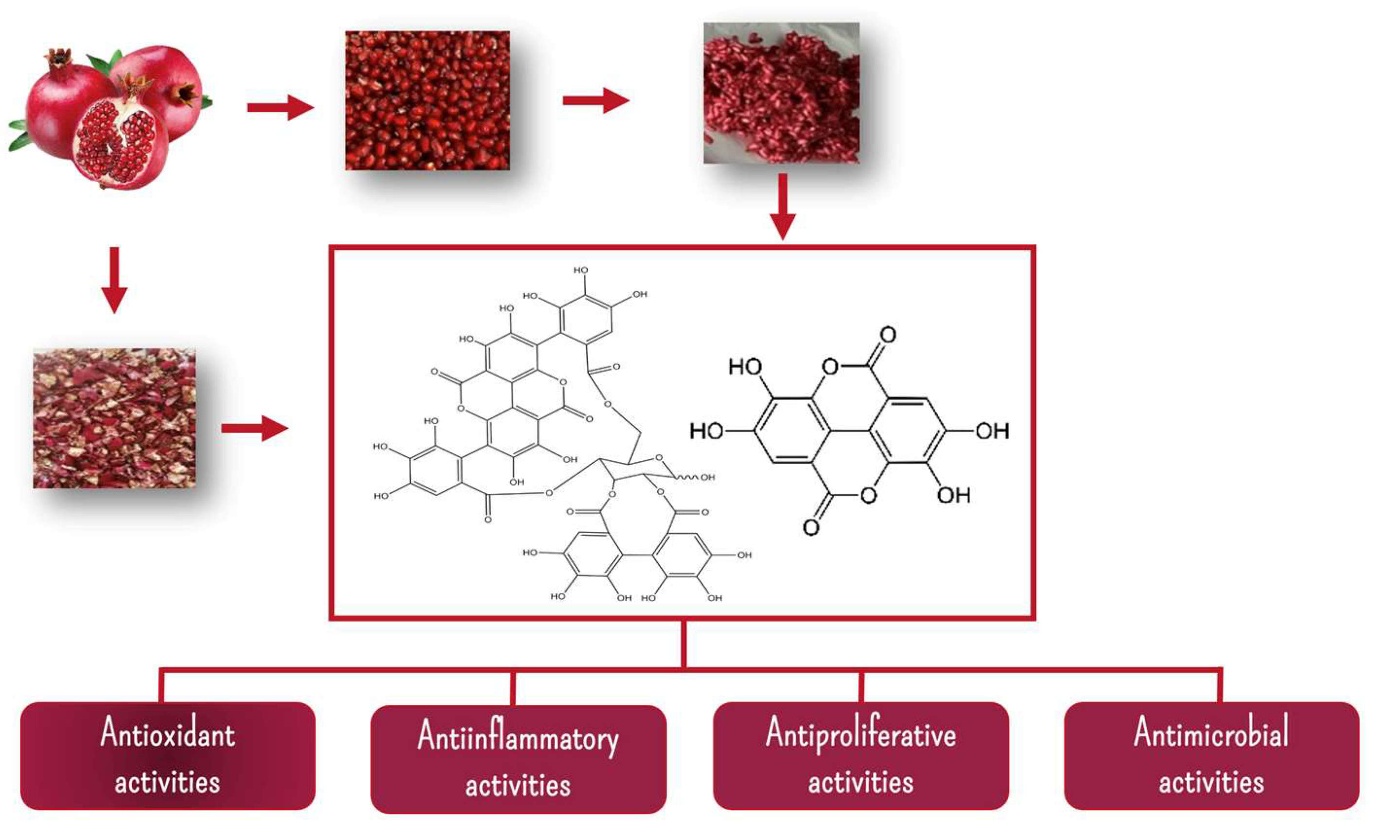 Applsci 14 01570 g002
