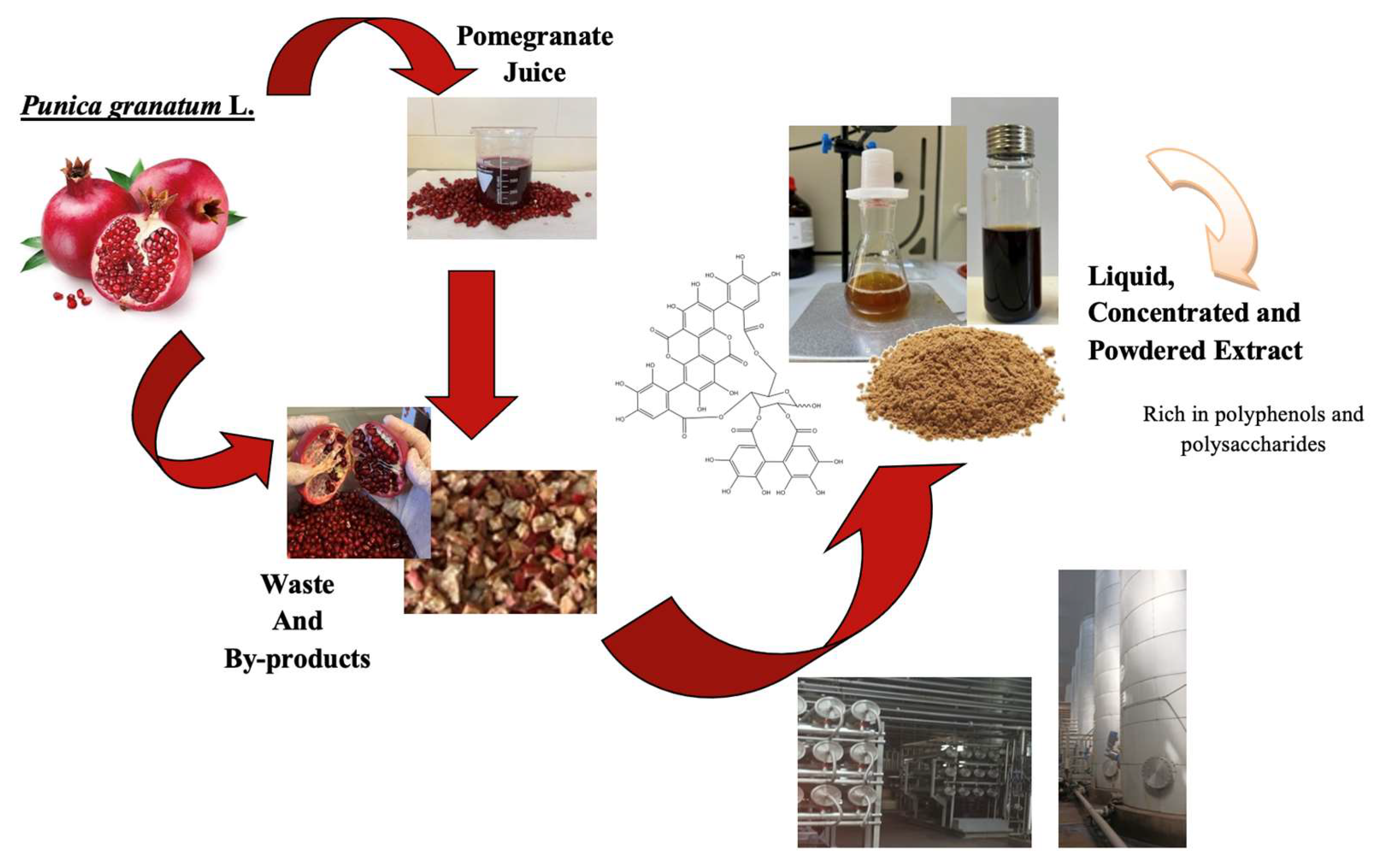 Applsci 14 01570 g003