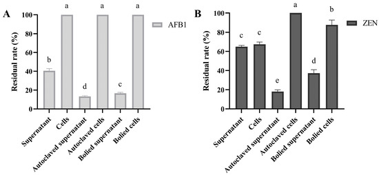 Bacillus subtilis Simultaneously Detoxified Aflatoxin B1 and
