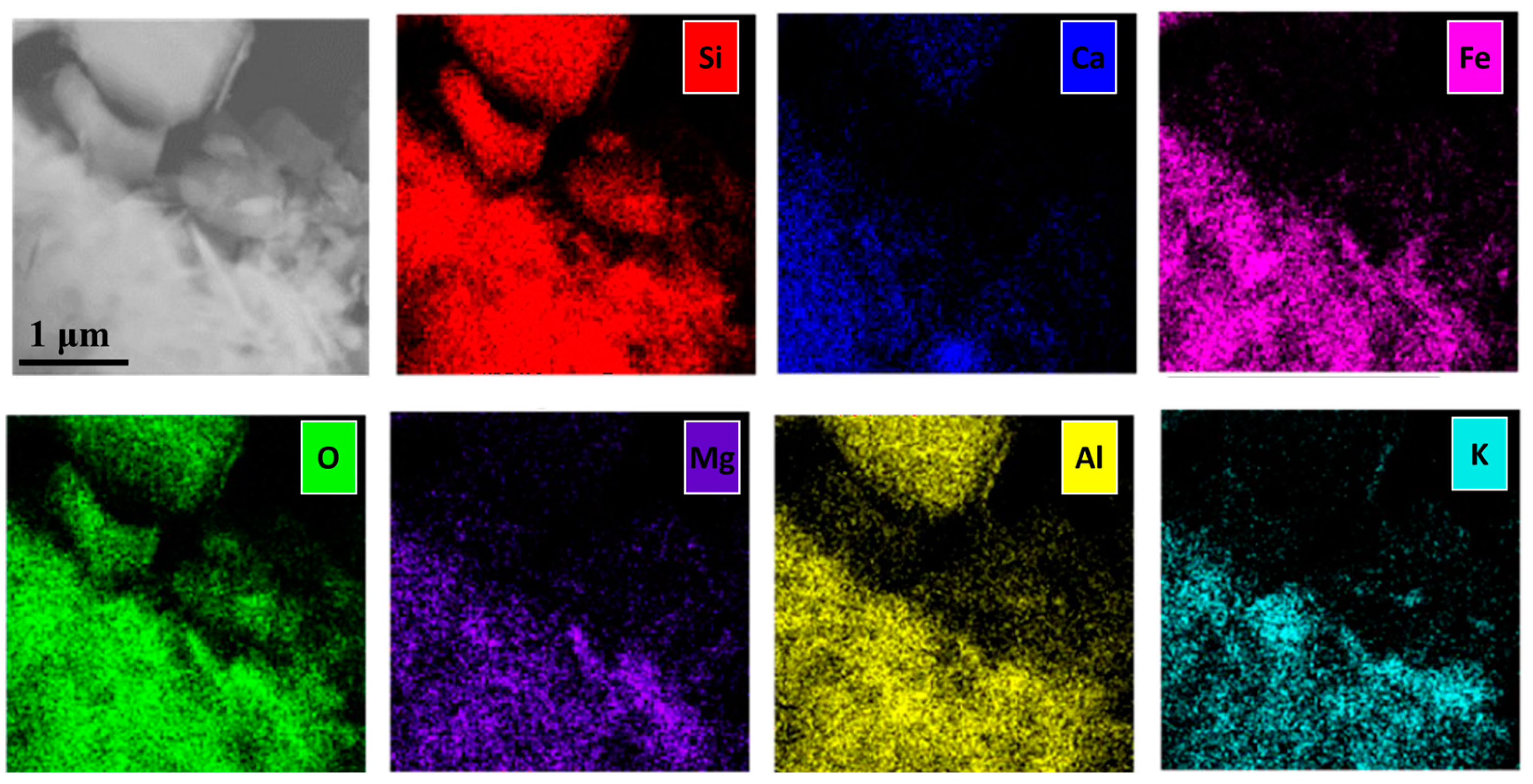 Applsci 14 01597 g004