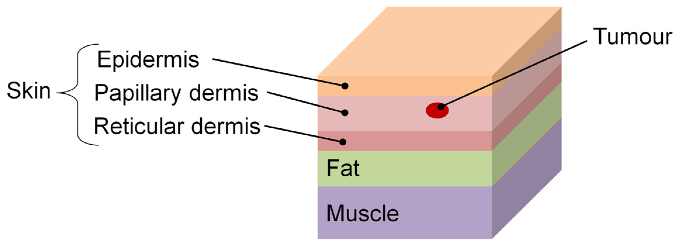 Applsci 14 01603 g007
