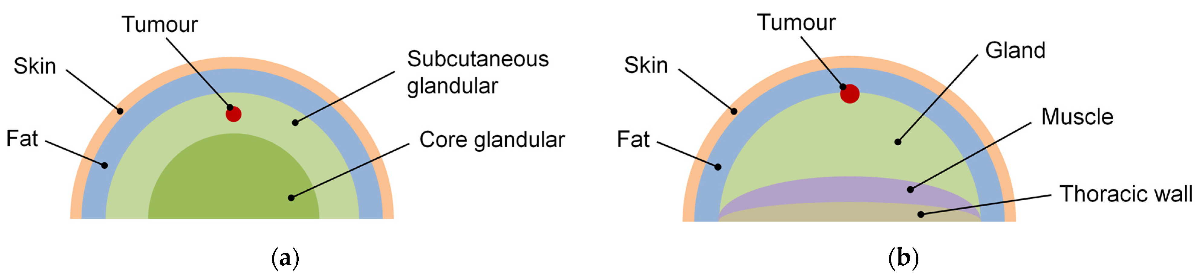 Applsci 14 01603 g008