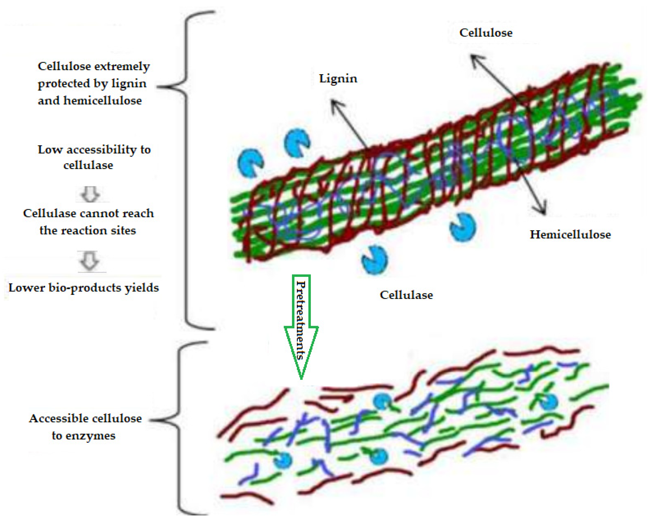 Applsci 14 01612 g002