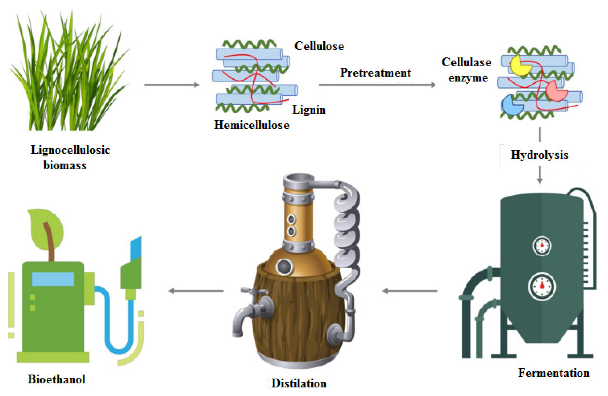 Applsci 14 01612 g003