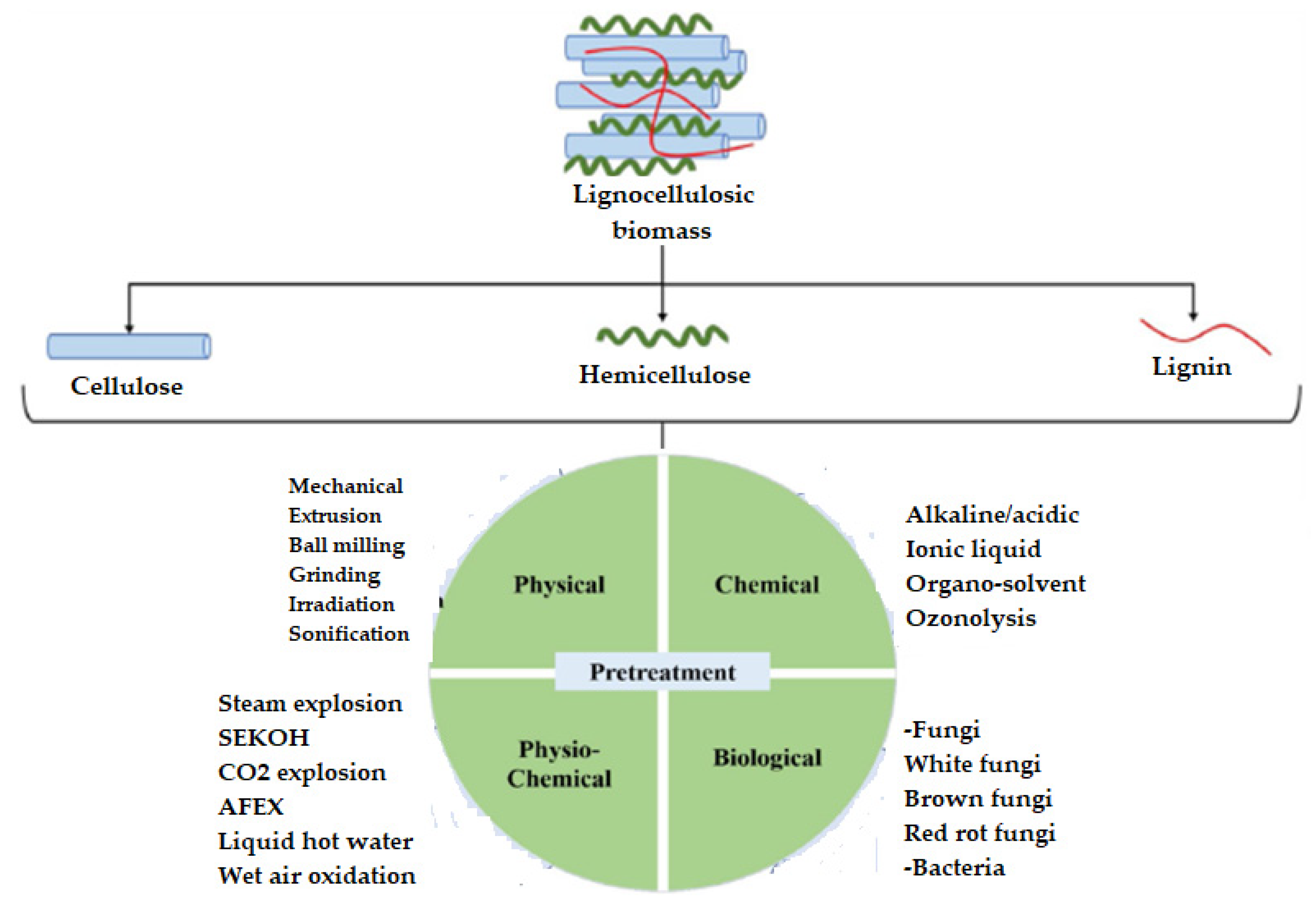 Applsci 14 01612 g005