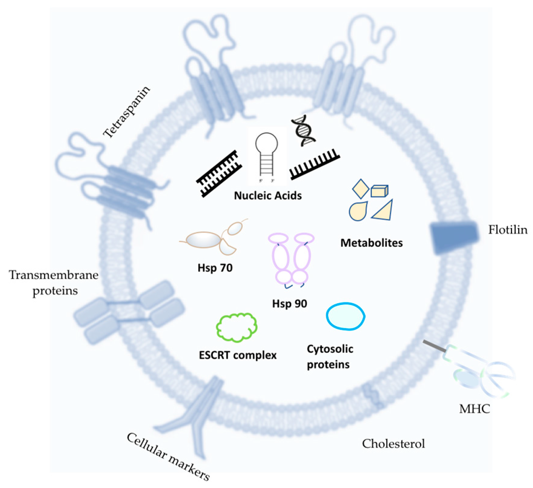 Applsci 14 01639 g002 Applsci 14 01639 g002