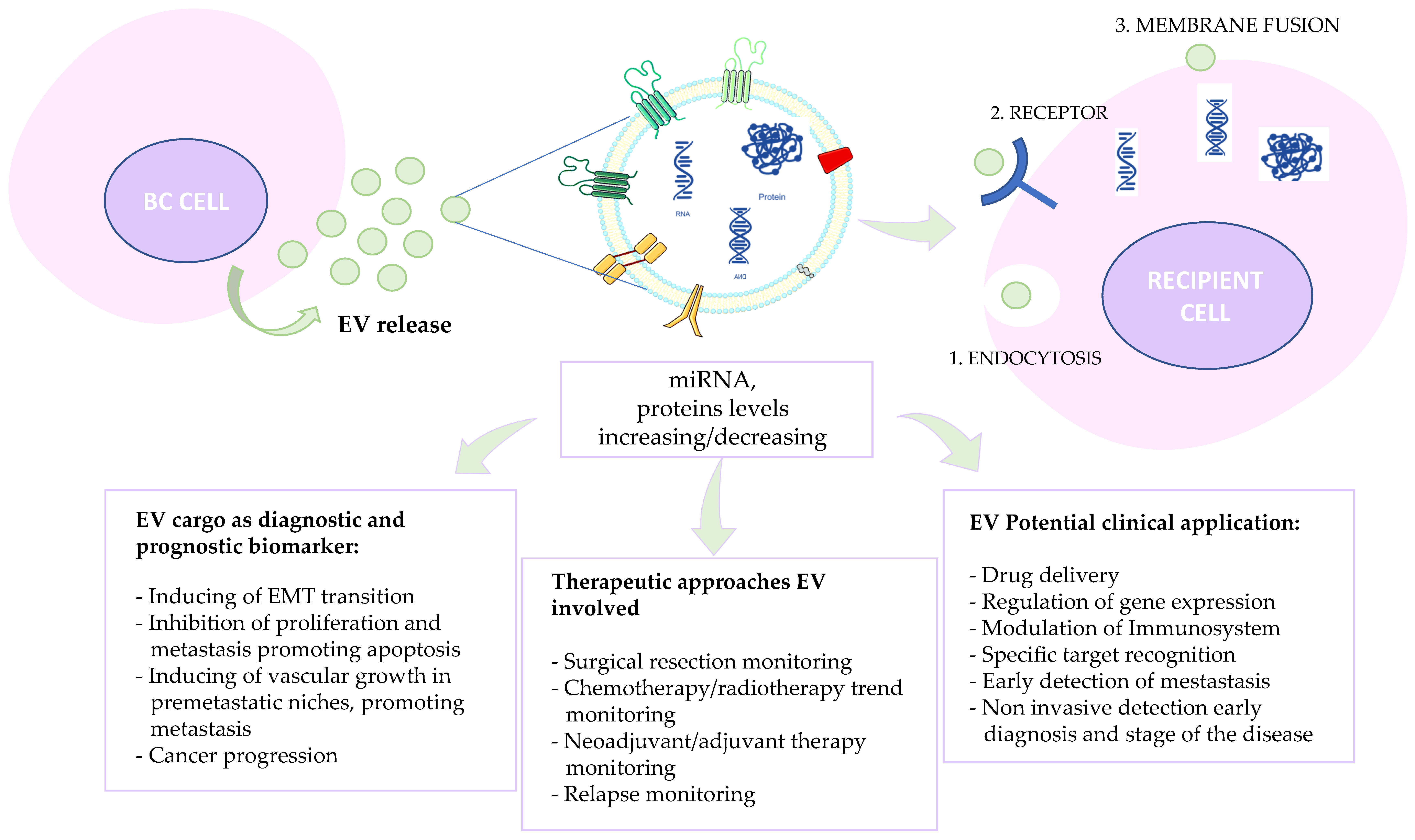 Applsci 14 01639 g003 Applsci 14 01639 g003
