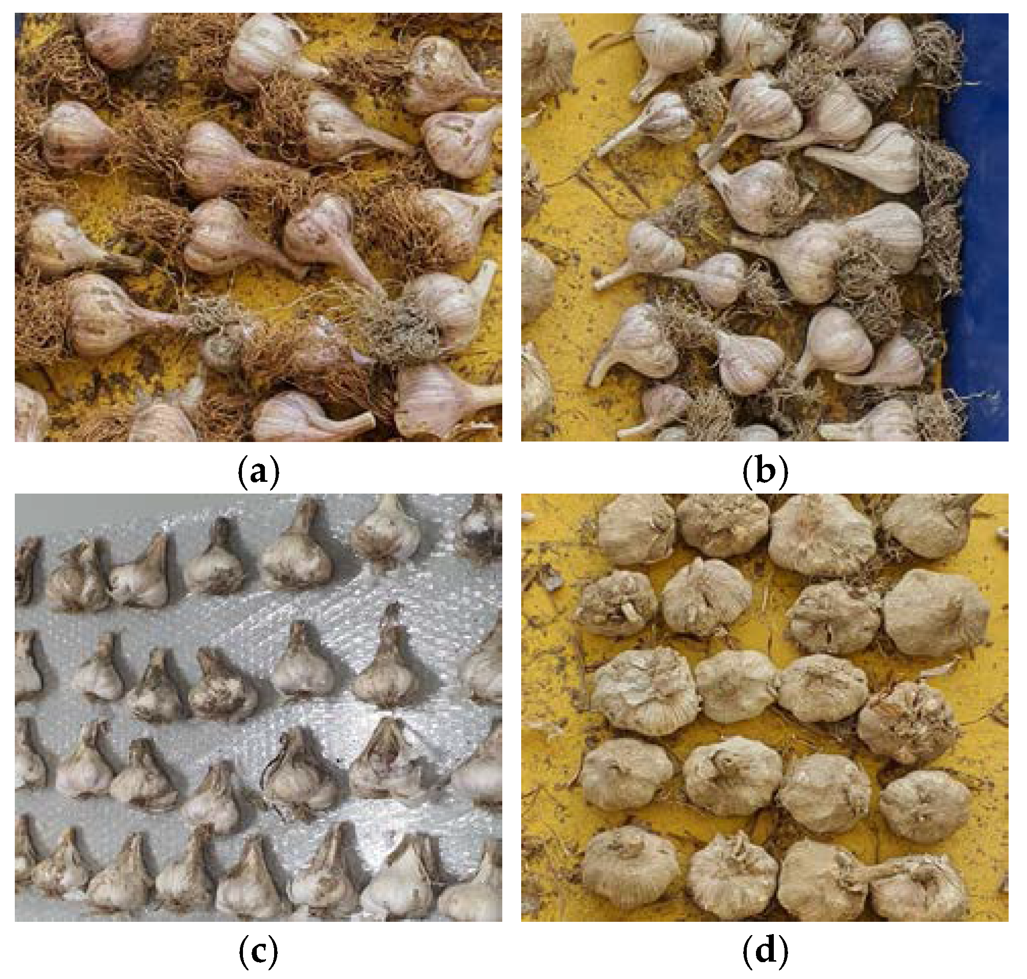 Applsci 14 01644 g001 Applsci 14 01644 g001