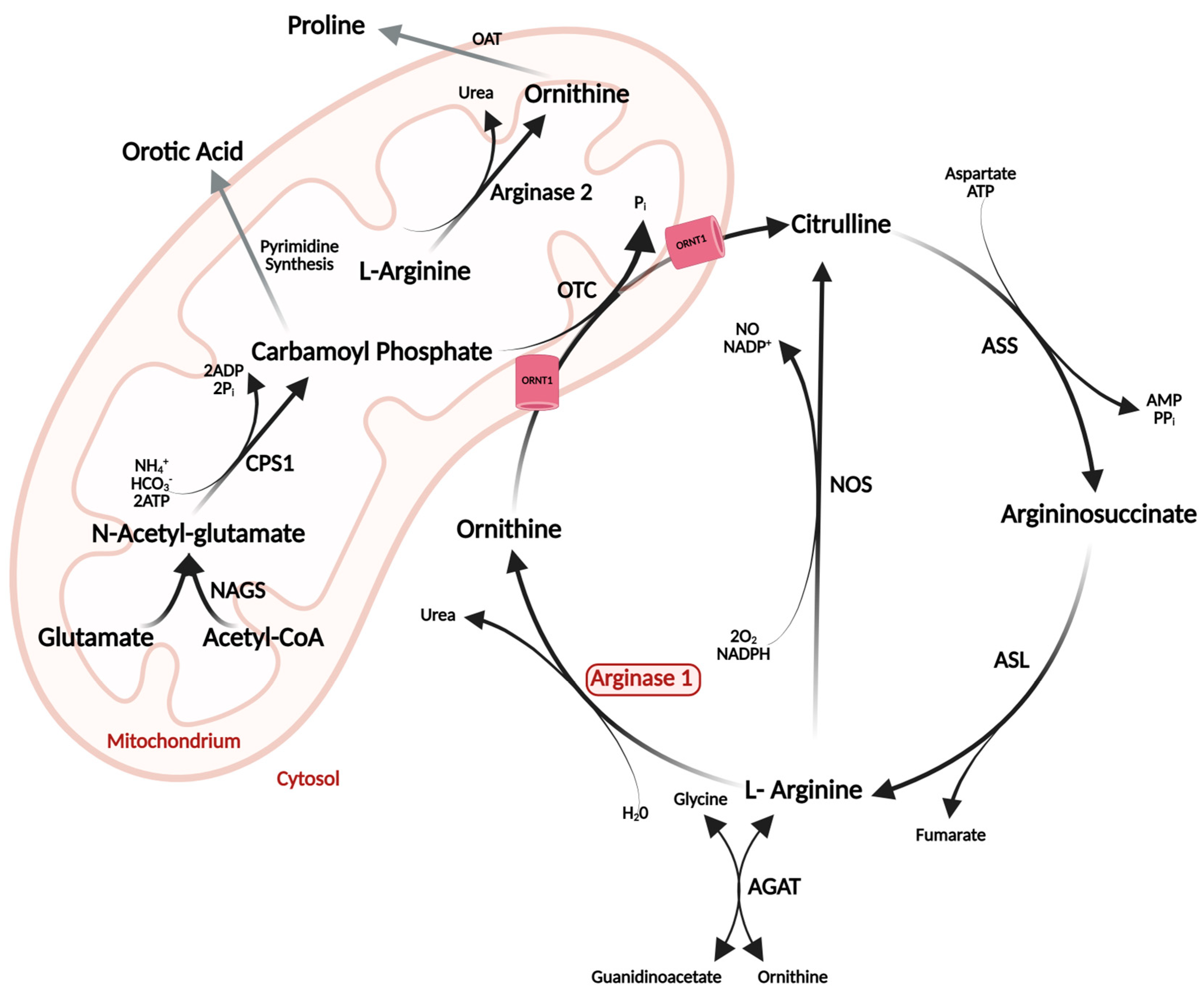 Applsci 14 01647 g001 Applsci 14 01647 g001
