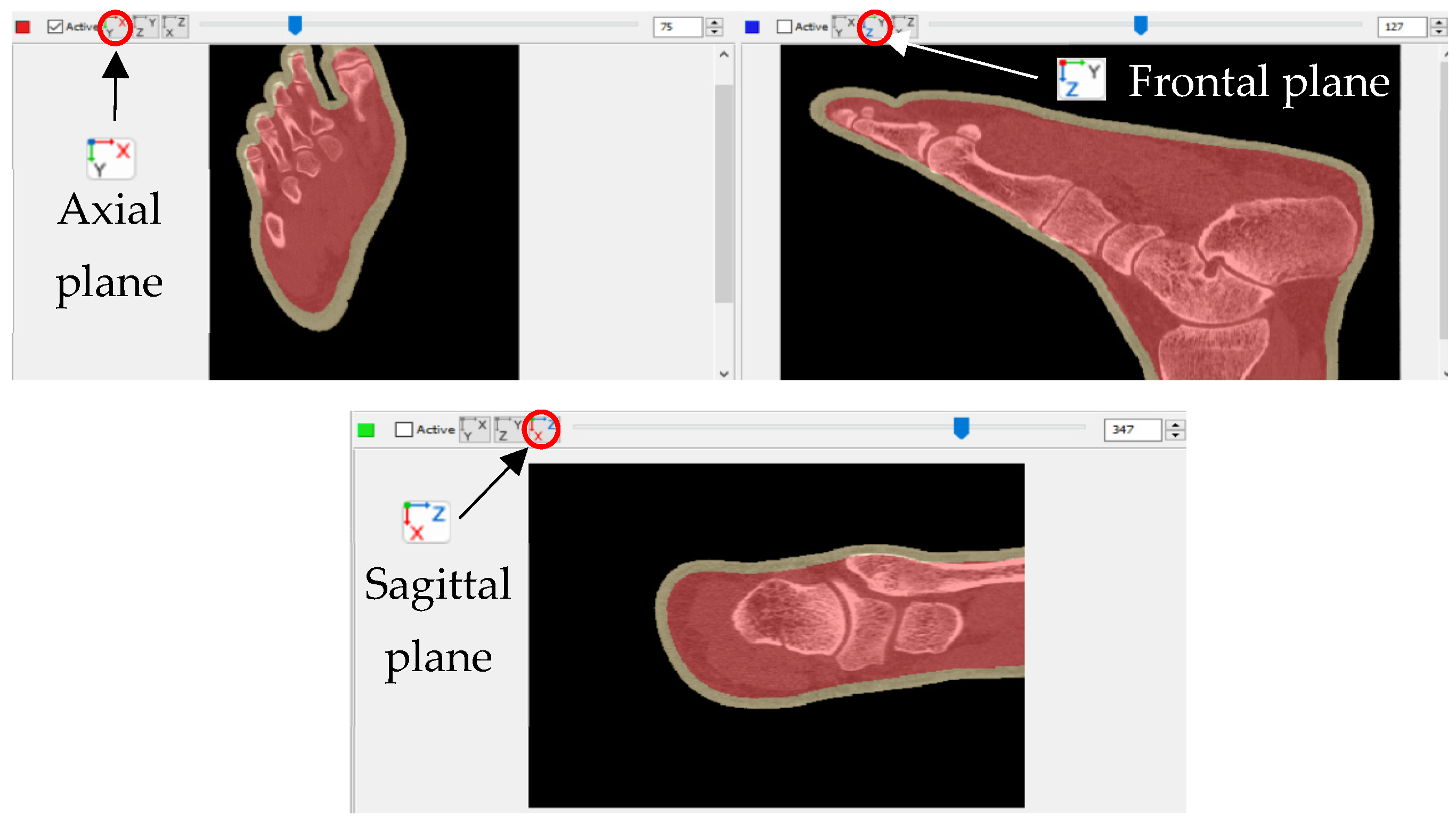 Applsci 14 01650 g001