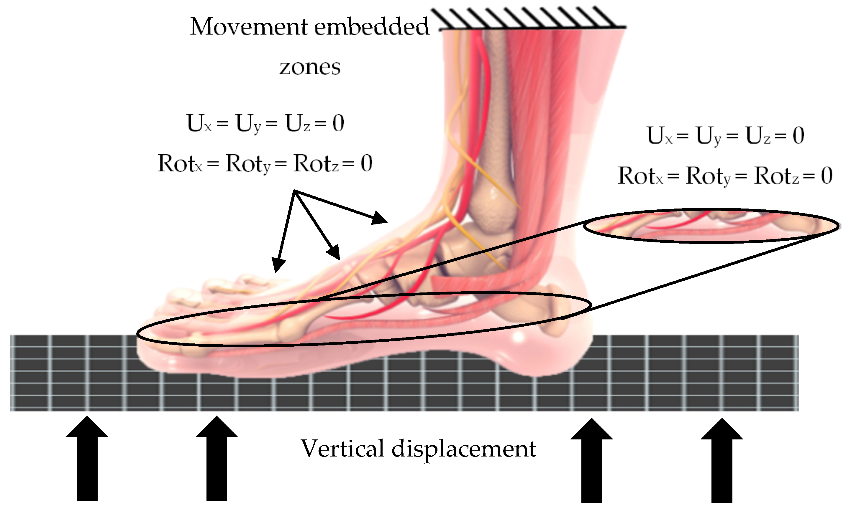 Applsci 14 01650 g003