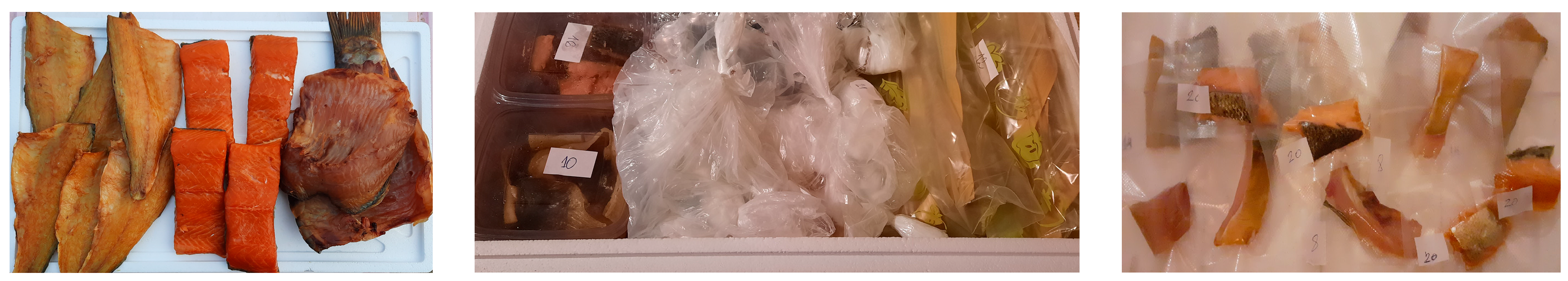 Applsci 14 01660 g001