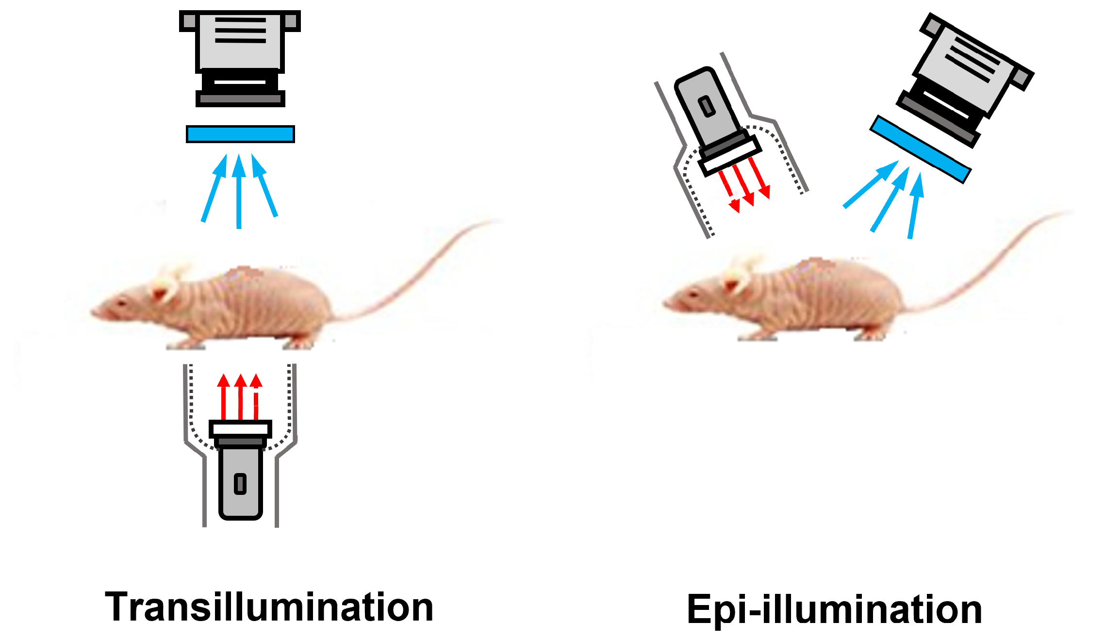 Applsci 14 01689 g001