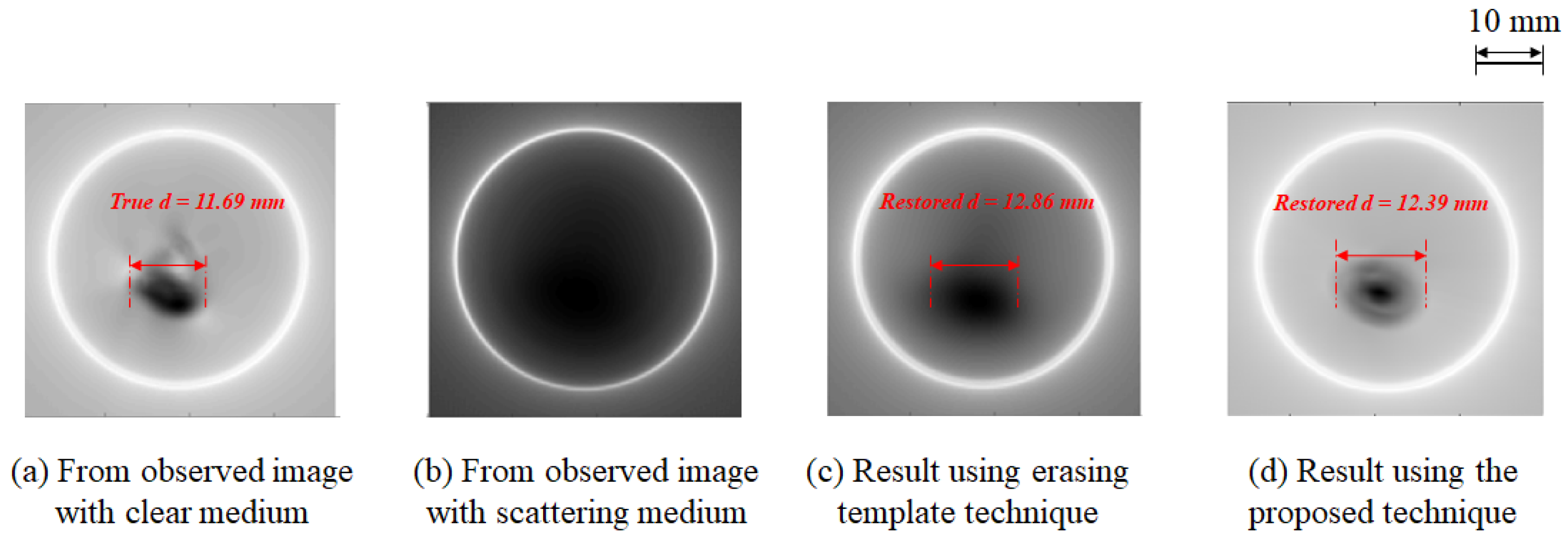 Applsci 14 01689 g011