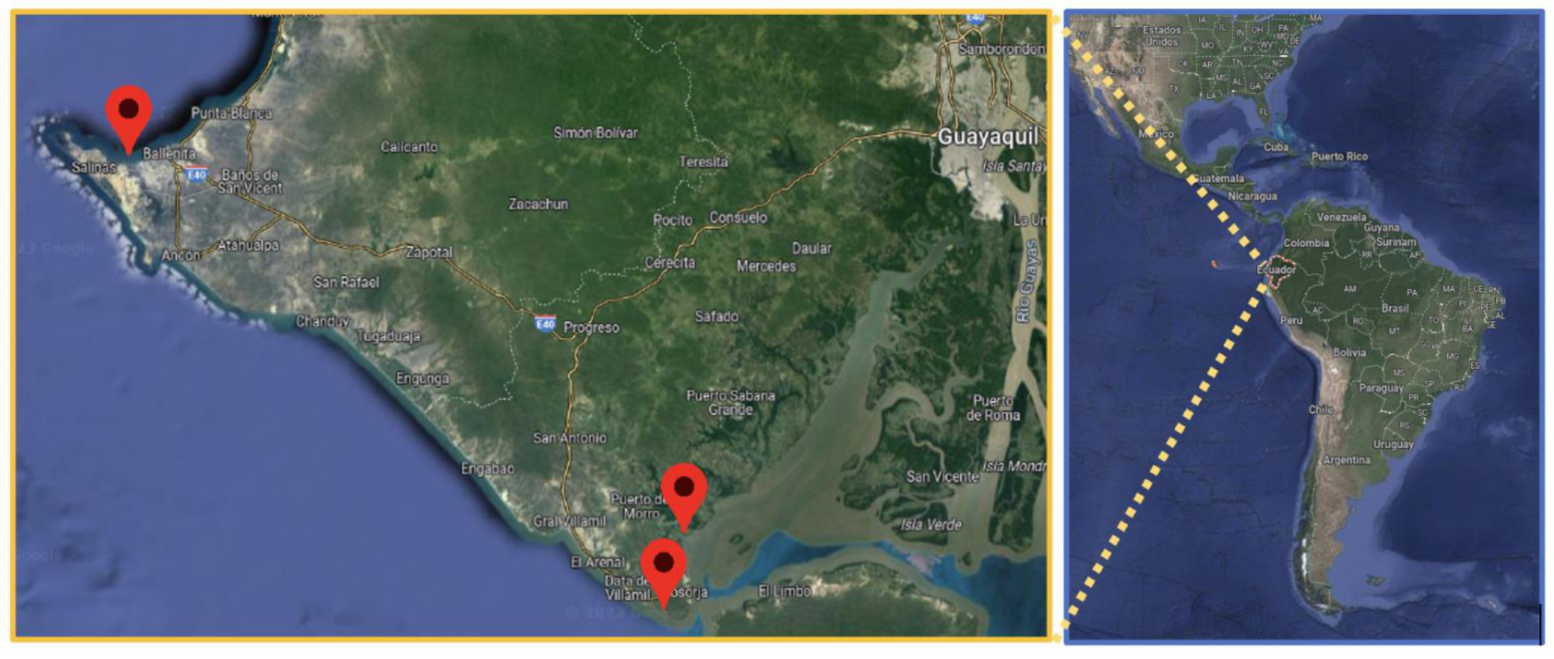 Applsci 14 01704 g001