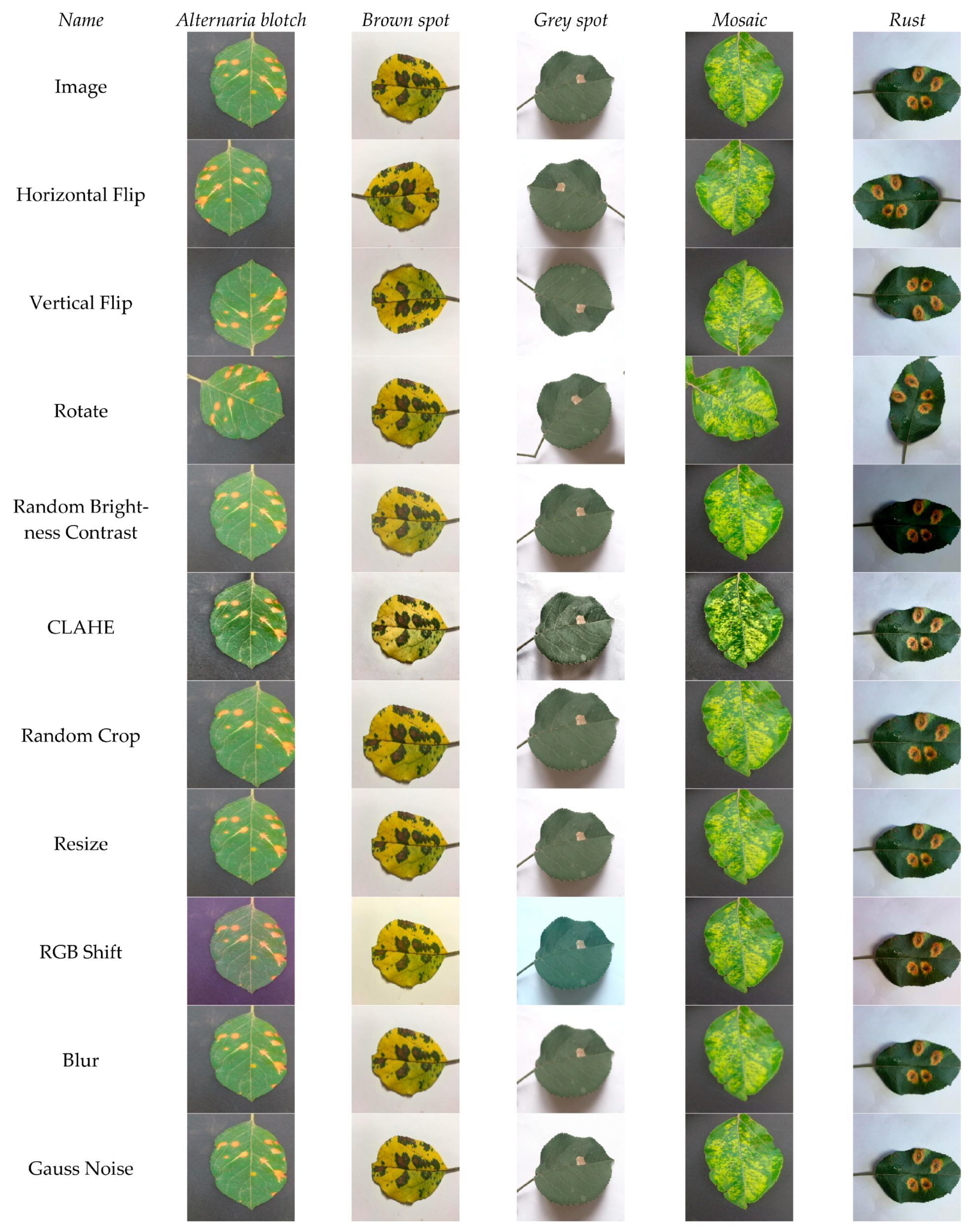 Applsci 14 01716 g005a